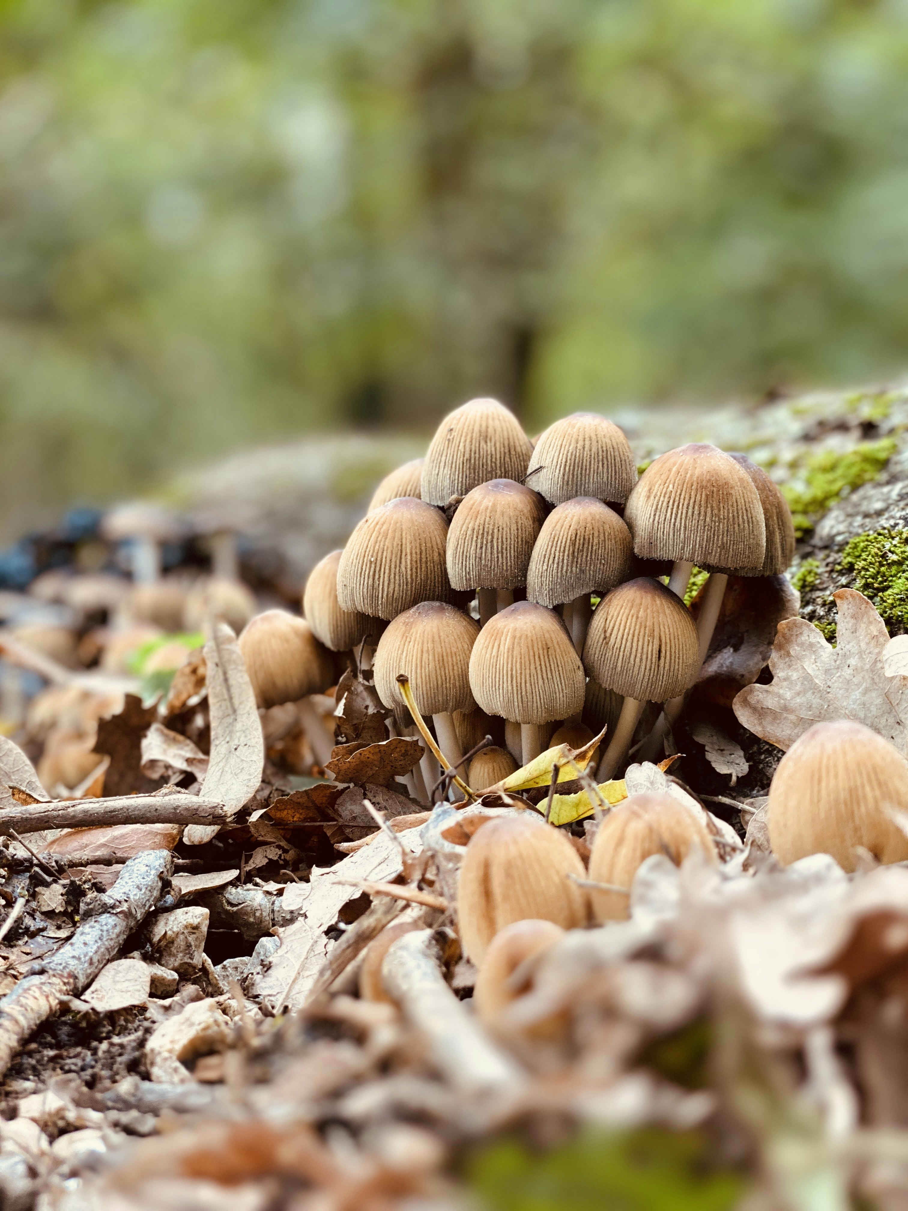 Photo by tariqalkiki