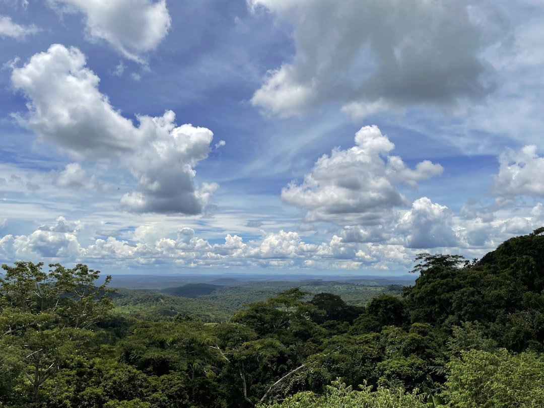 a landscape with trees and clouds,
