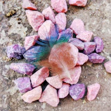 Soft pastel-colored stones and feathers laid out on a light wooden table.