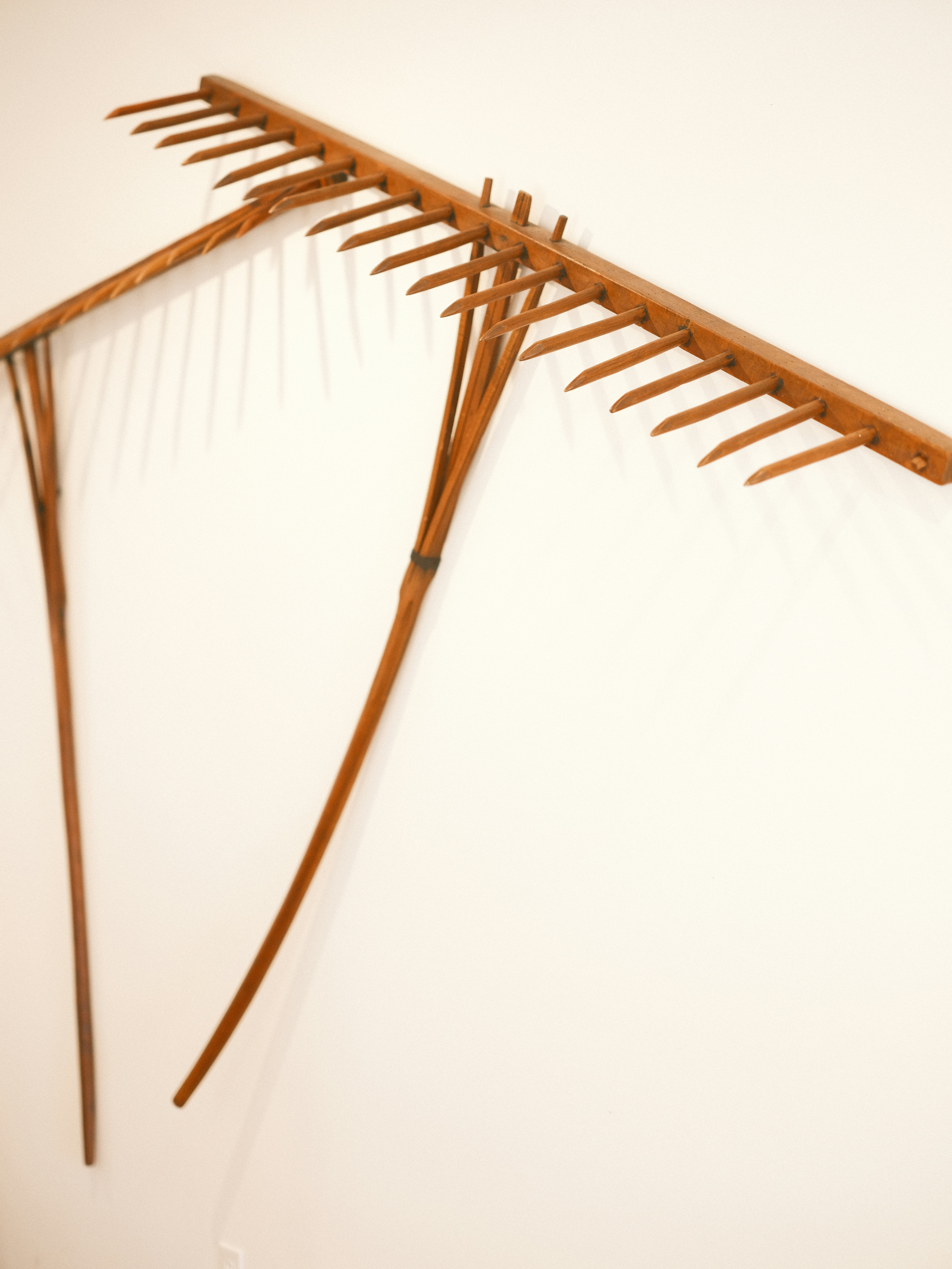 Photo by taylorheeryphoto