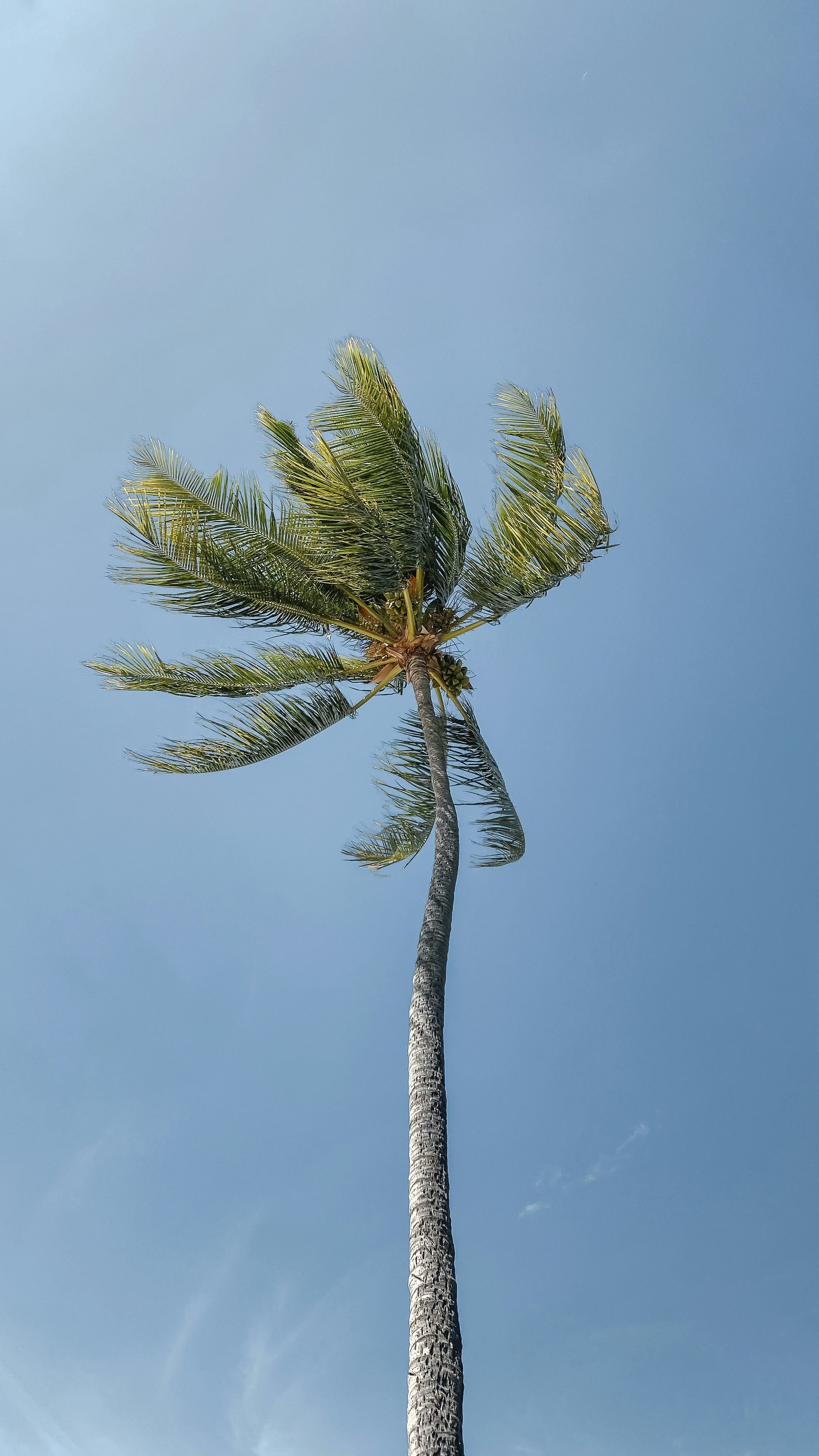 Photo by kaycyquintal