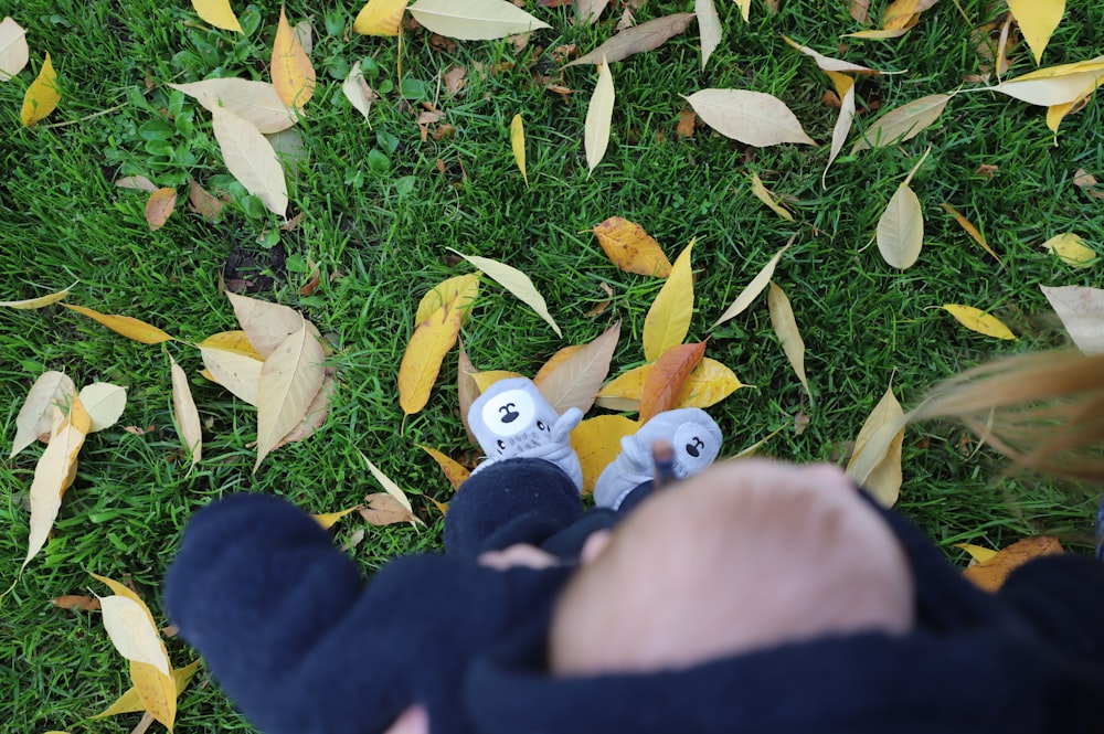 a group of stuffed animals in a grassy area