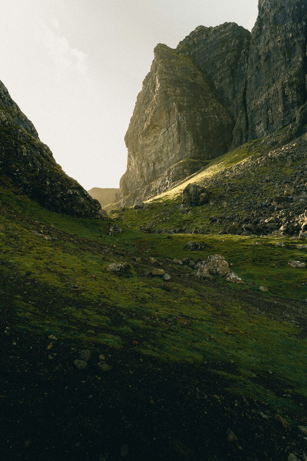 a grassy valley between rocky mountains