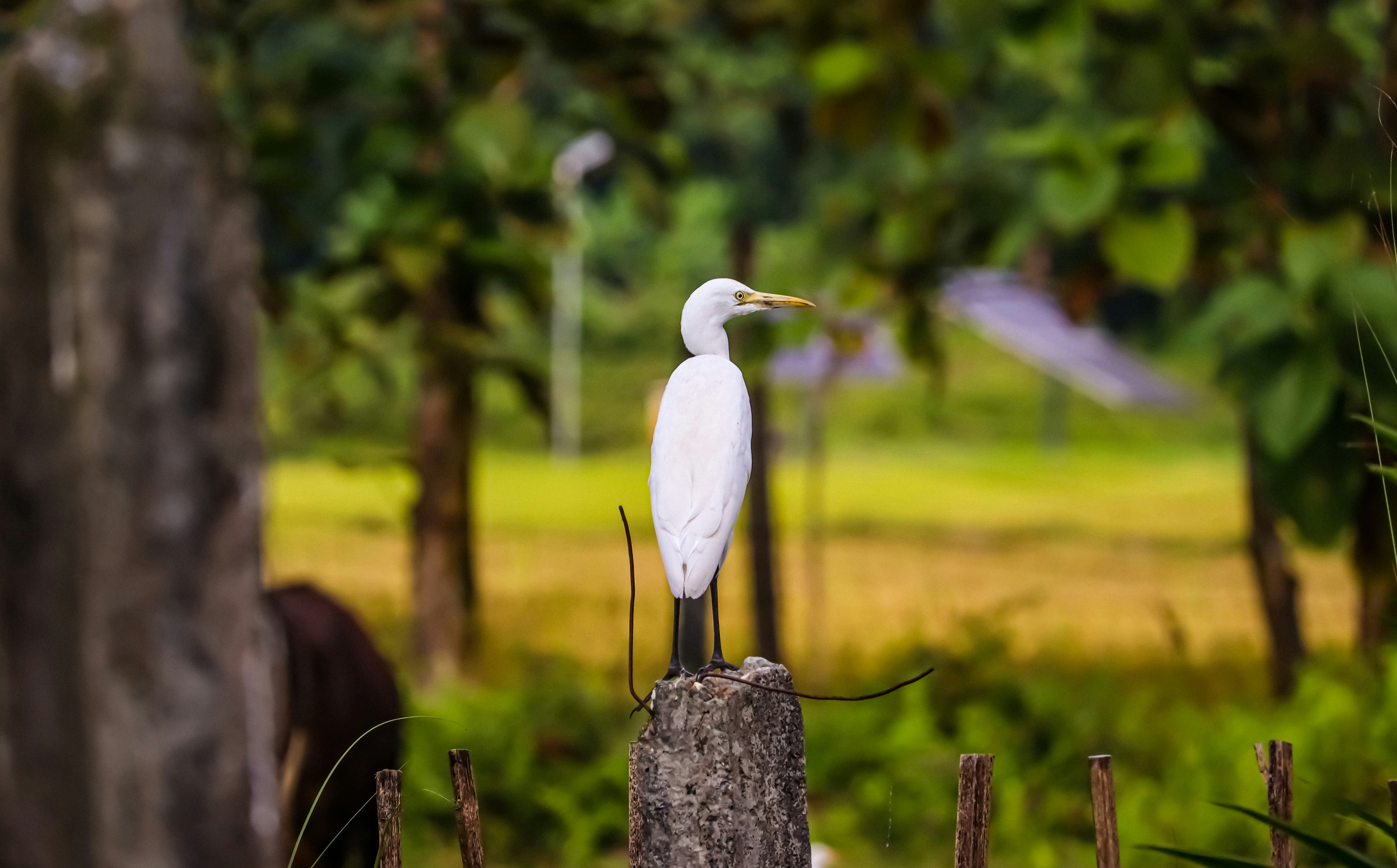 Photo by soonamwooeser