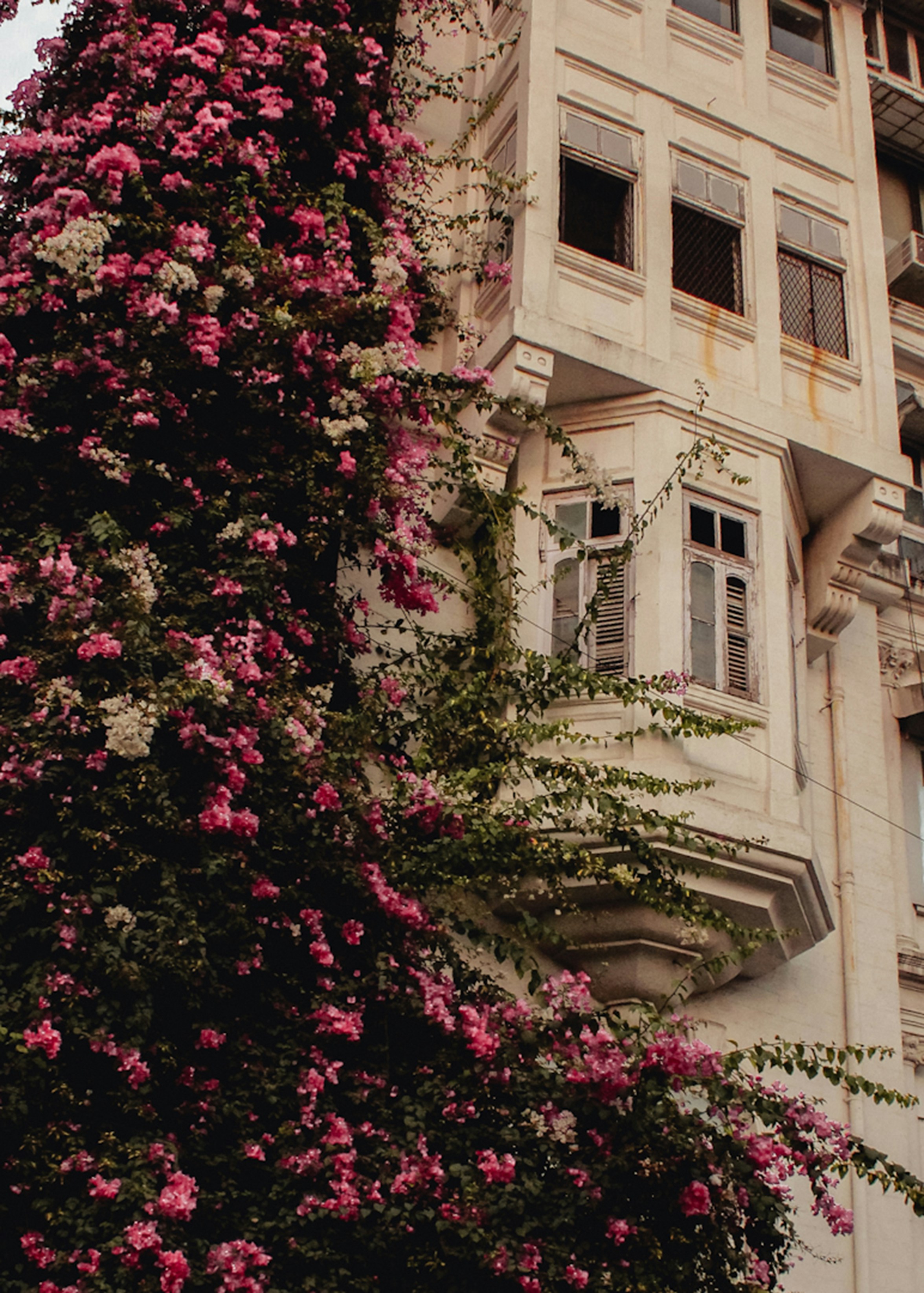 Photo by joshua_thomas19