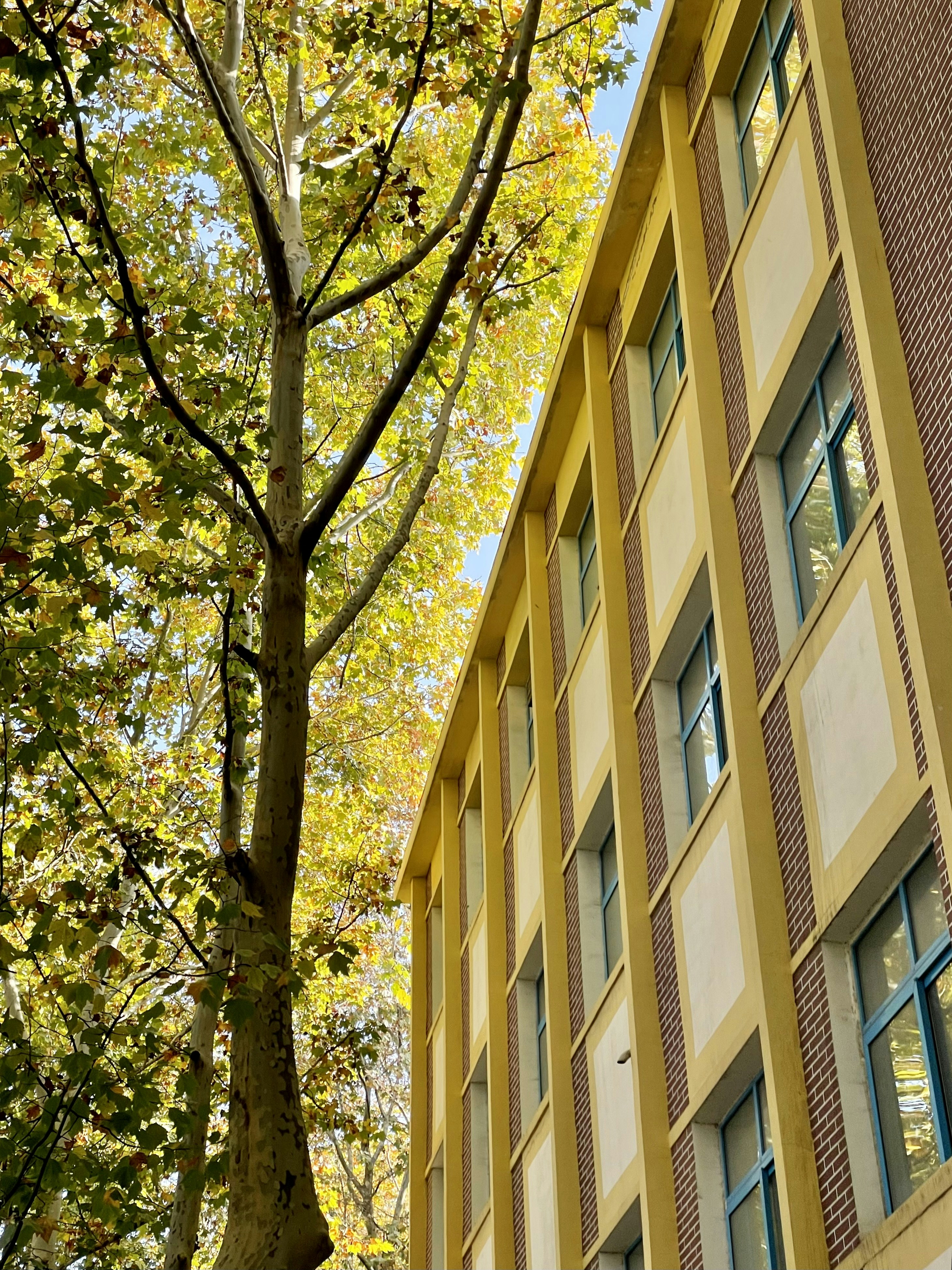 Photo by jiahaoliang