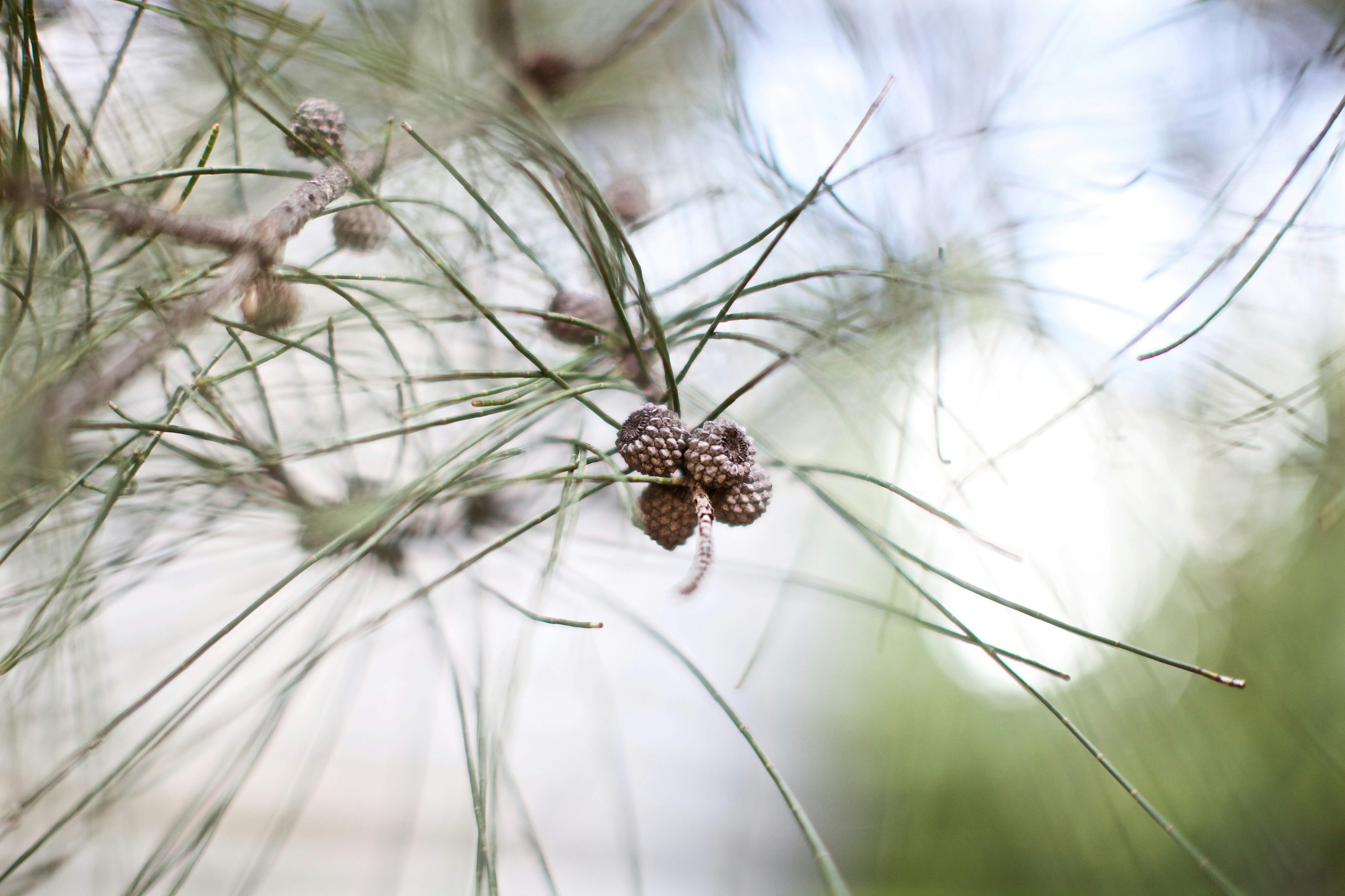 Photo by jemproductions22