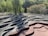 A wavy, abstract wooden deck structure is surrounded by lush green trees. The design features a combination of curved and angular lines, creating a visually striking pattern. Sunlight filters through the tree canopy, casting shadows and adding depth to the scene.
