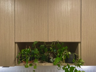 Stylish kitchen with wooden cabinets and plants.