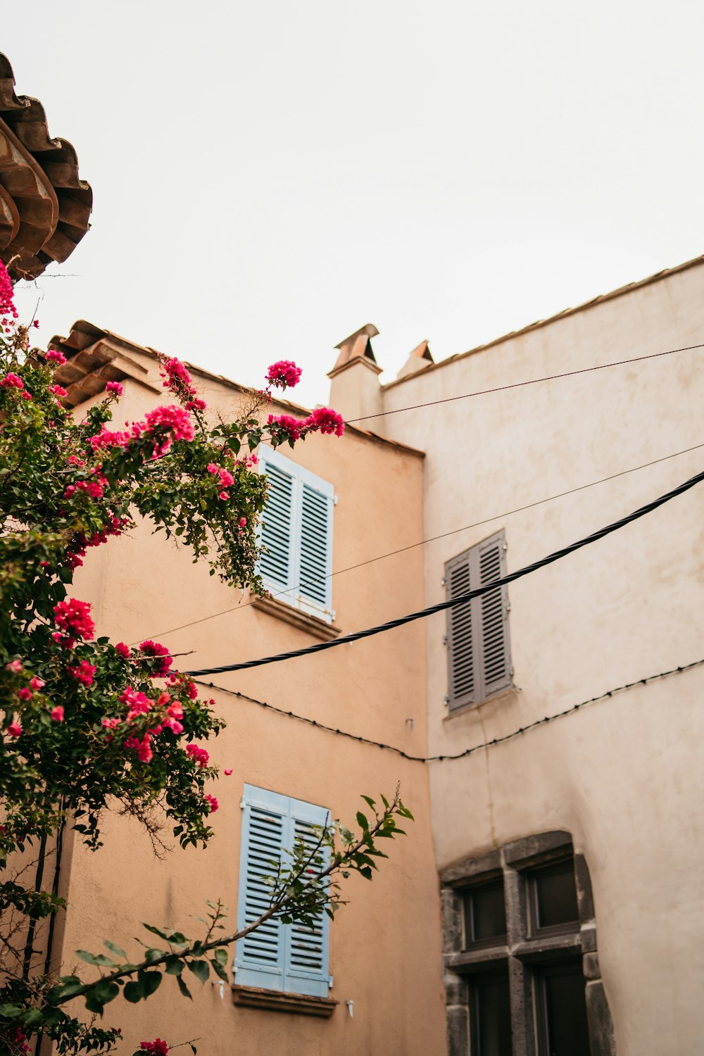 a building with windows and flowers on the roof