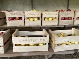 Several wooden crates filled with apples are neatly arranged on shelves. Each crate is labeled with different apple varieties, such as Melrose, Chantecler, and Fuji. The apples are a mix of red and yellow colors, with some crates predominantly holding yellow apples and others red.