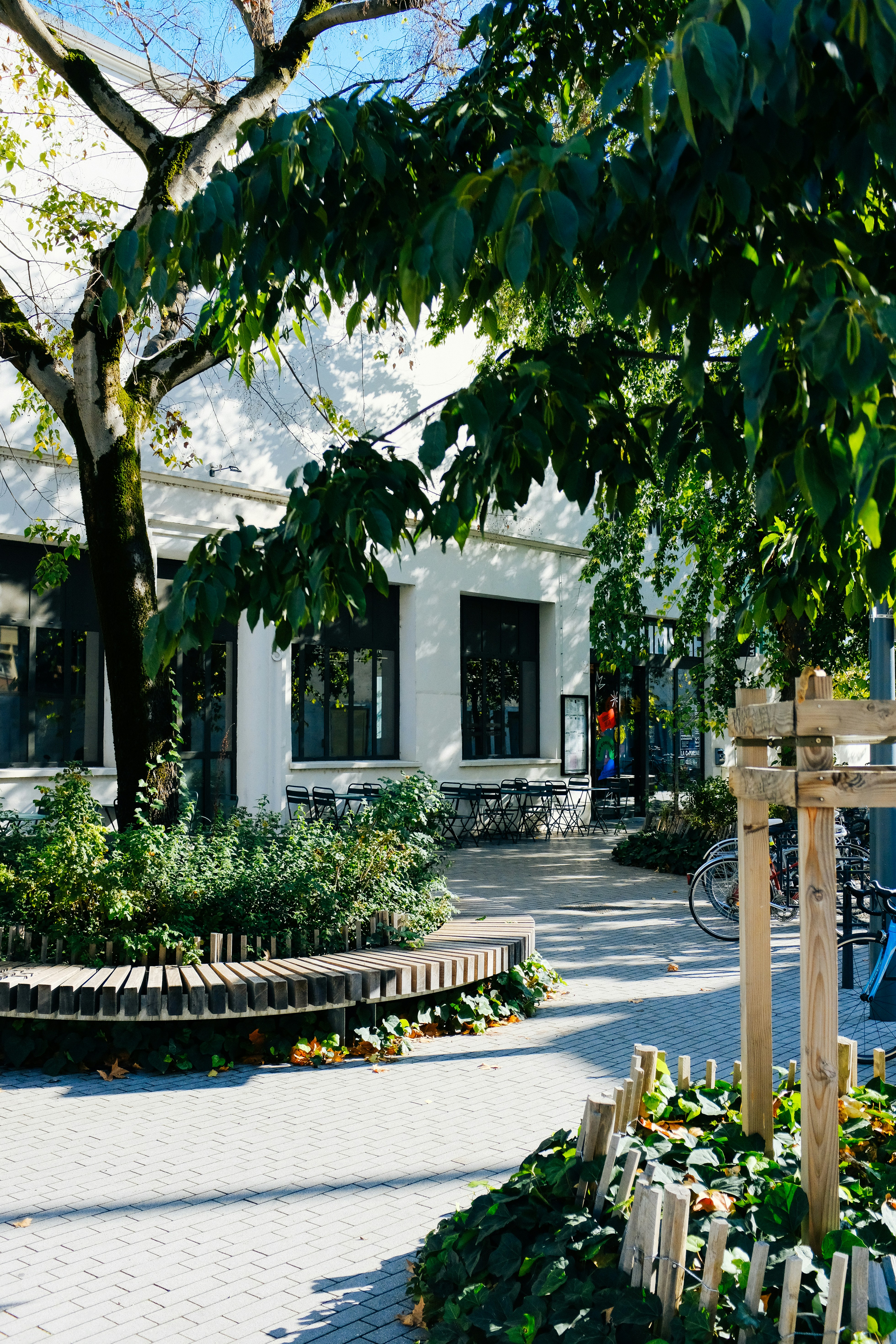 Photo by adrienolichon