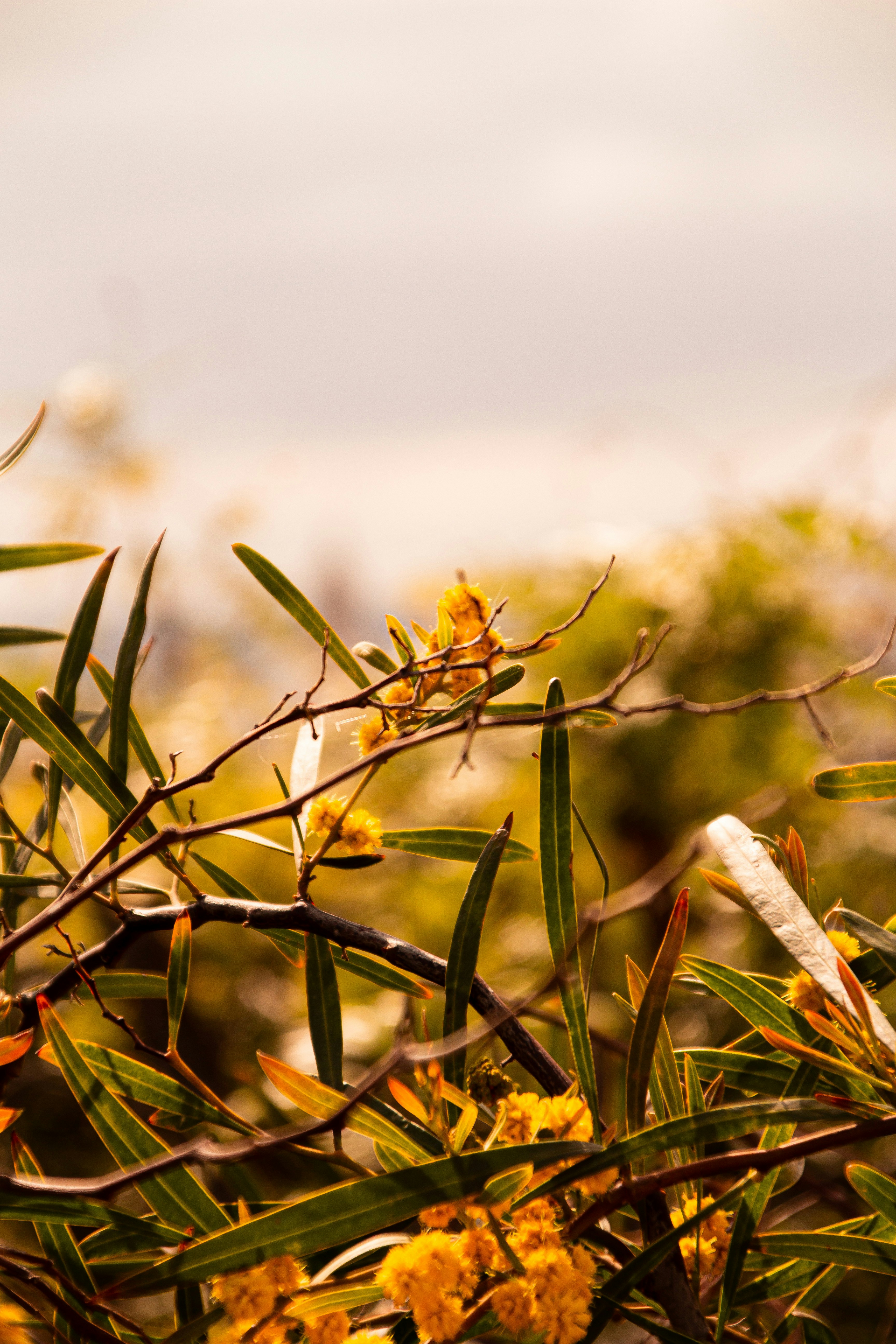 Photo by ahirtonrojas