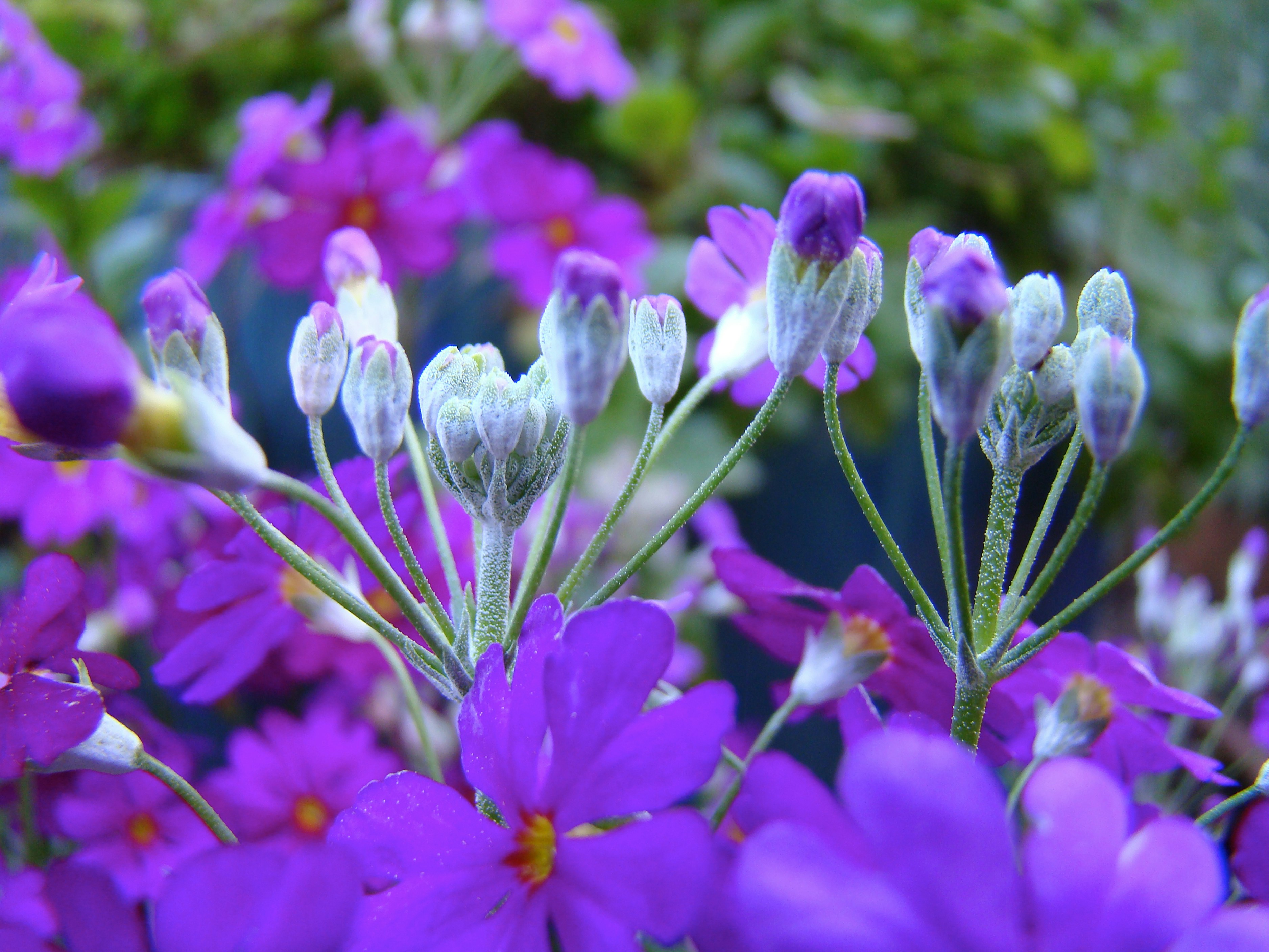 Photo by jemproductions22