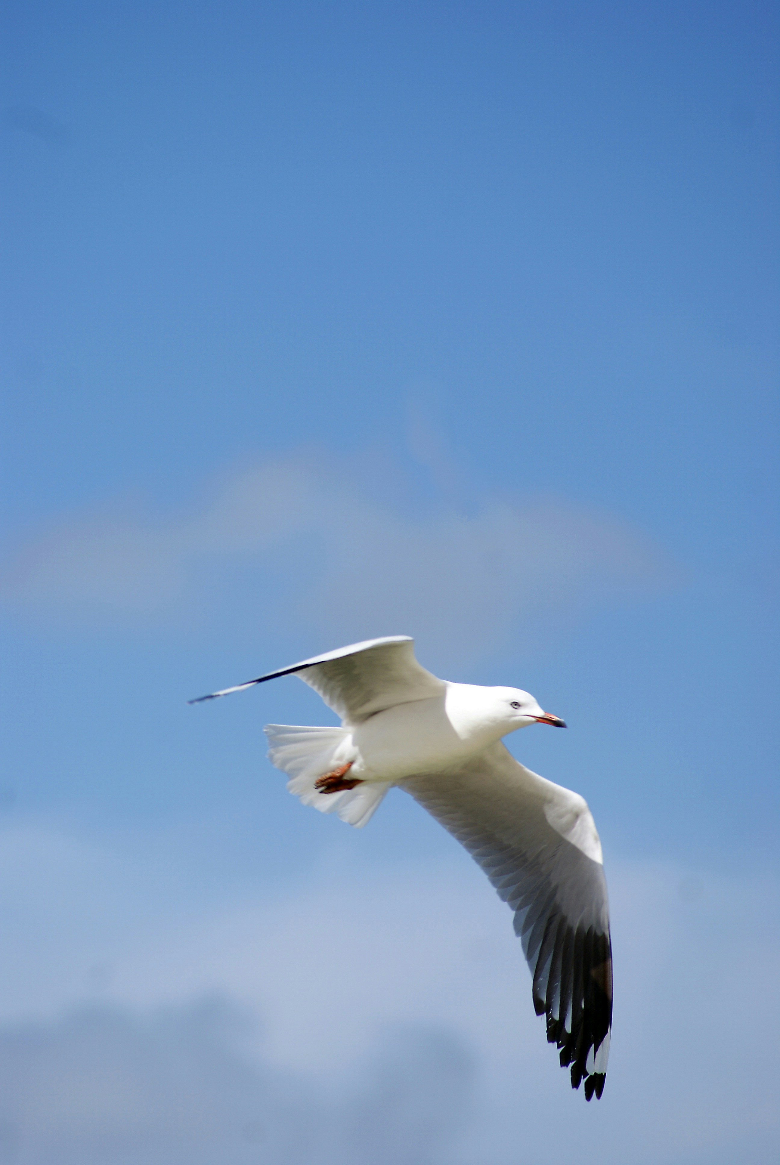 Photo by jemproductions22