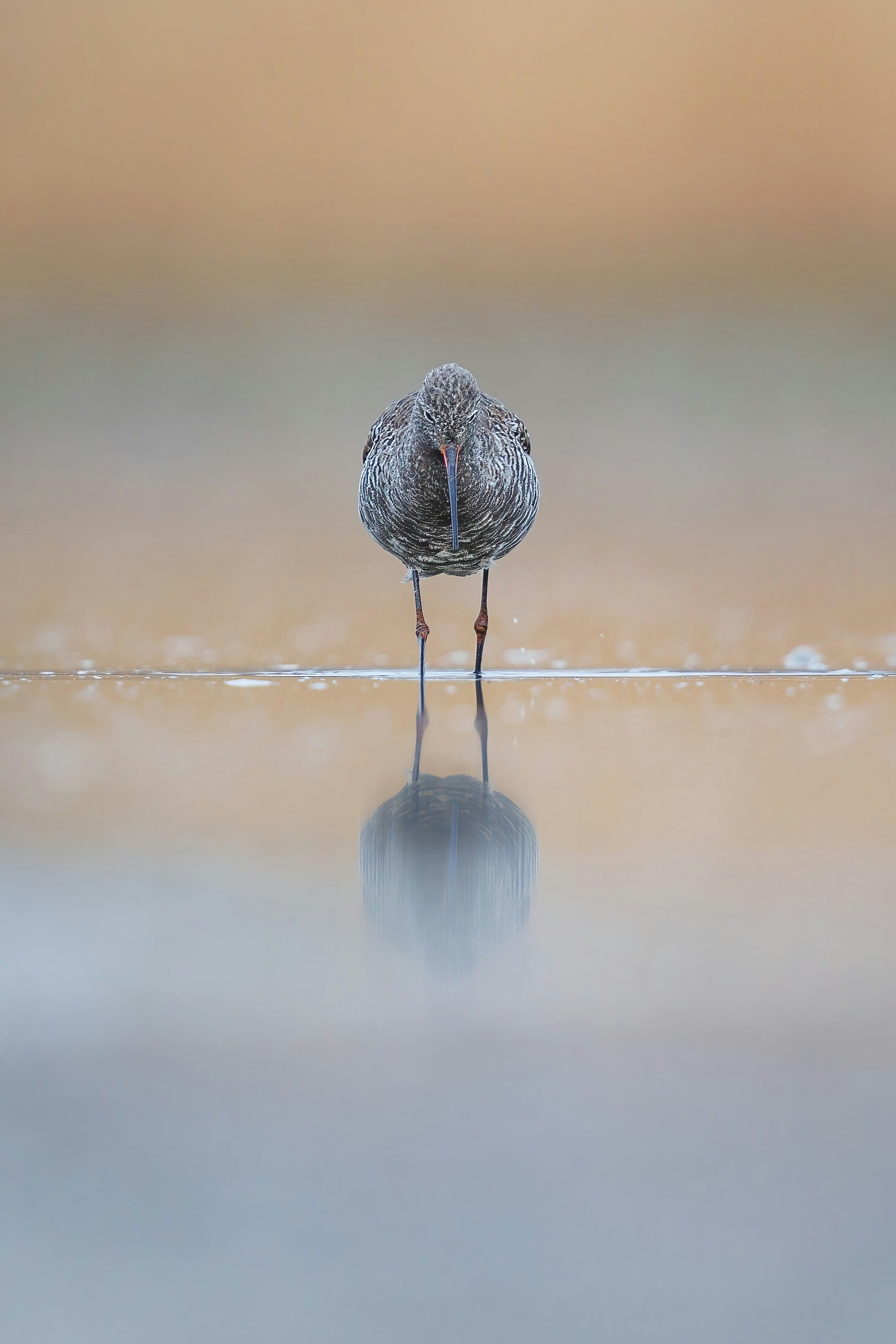 Un petit glaçon dans l’eau