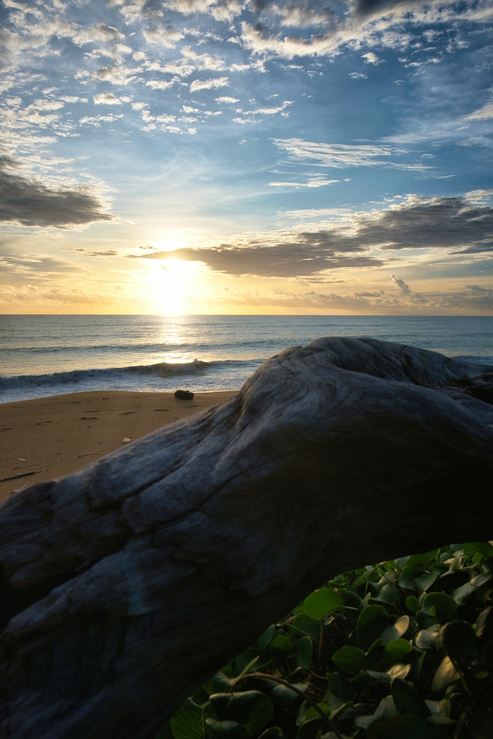 a rock on a beach