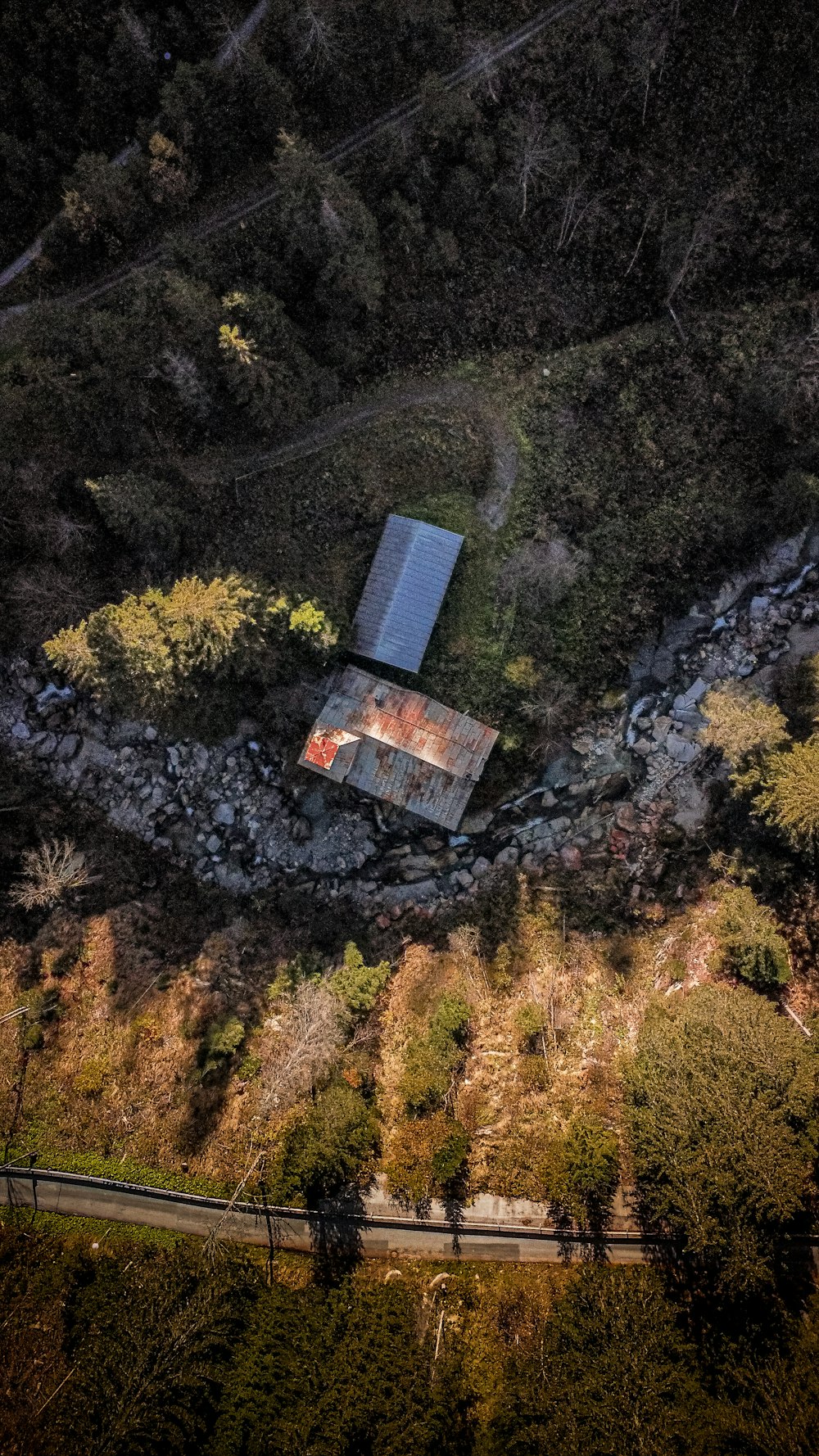 a building in a forest