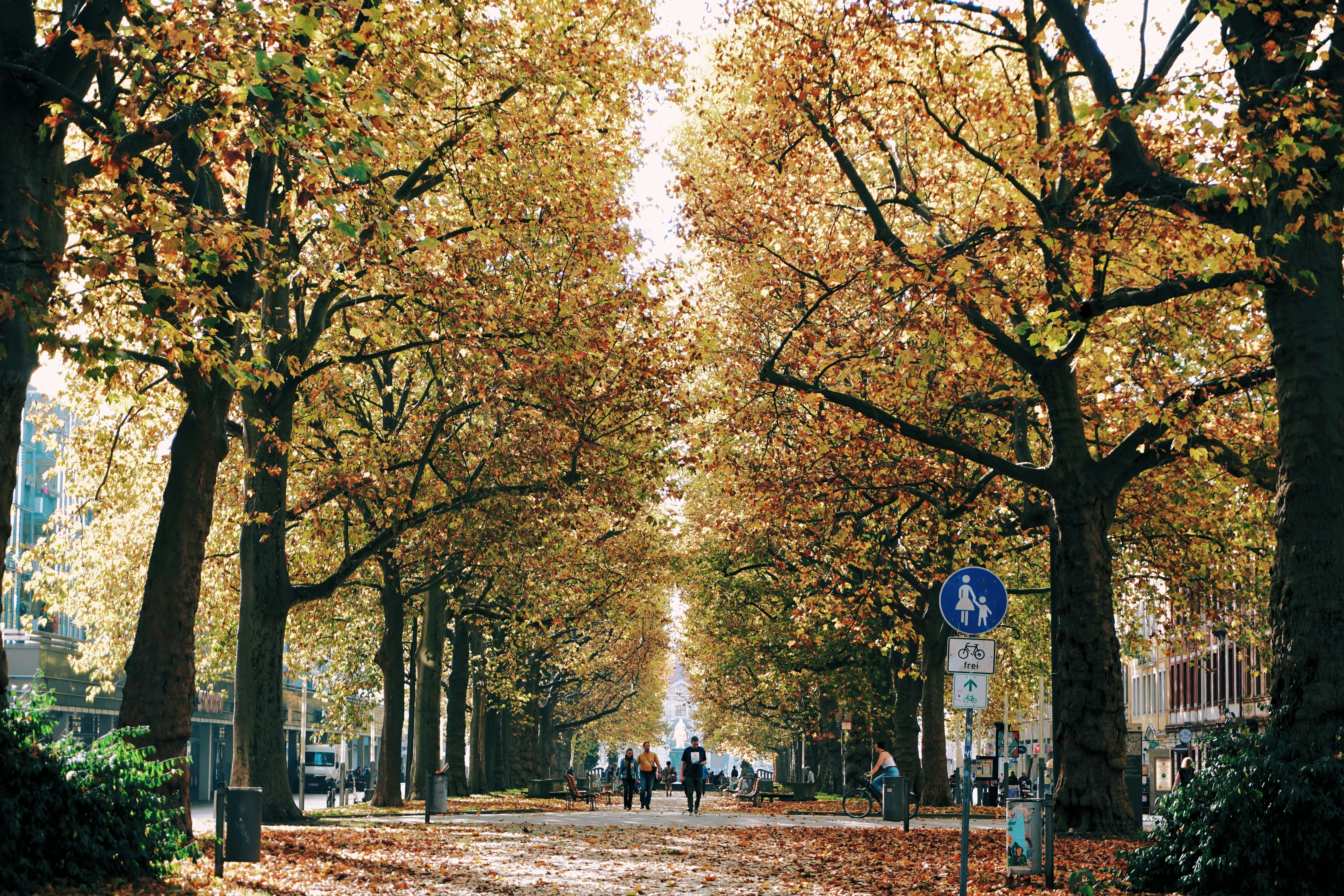 Photo by sawyerspecter