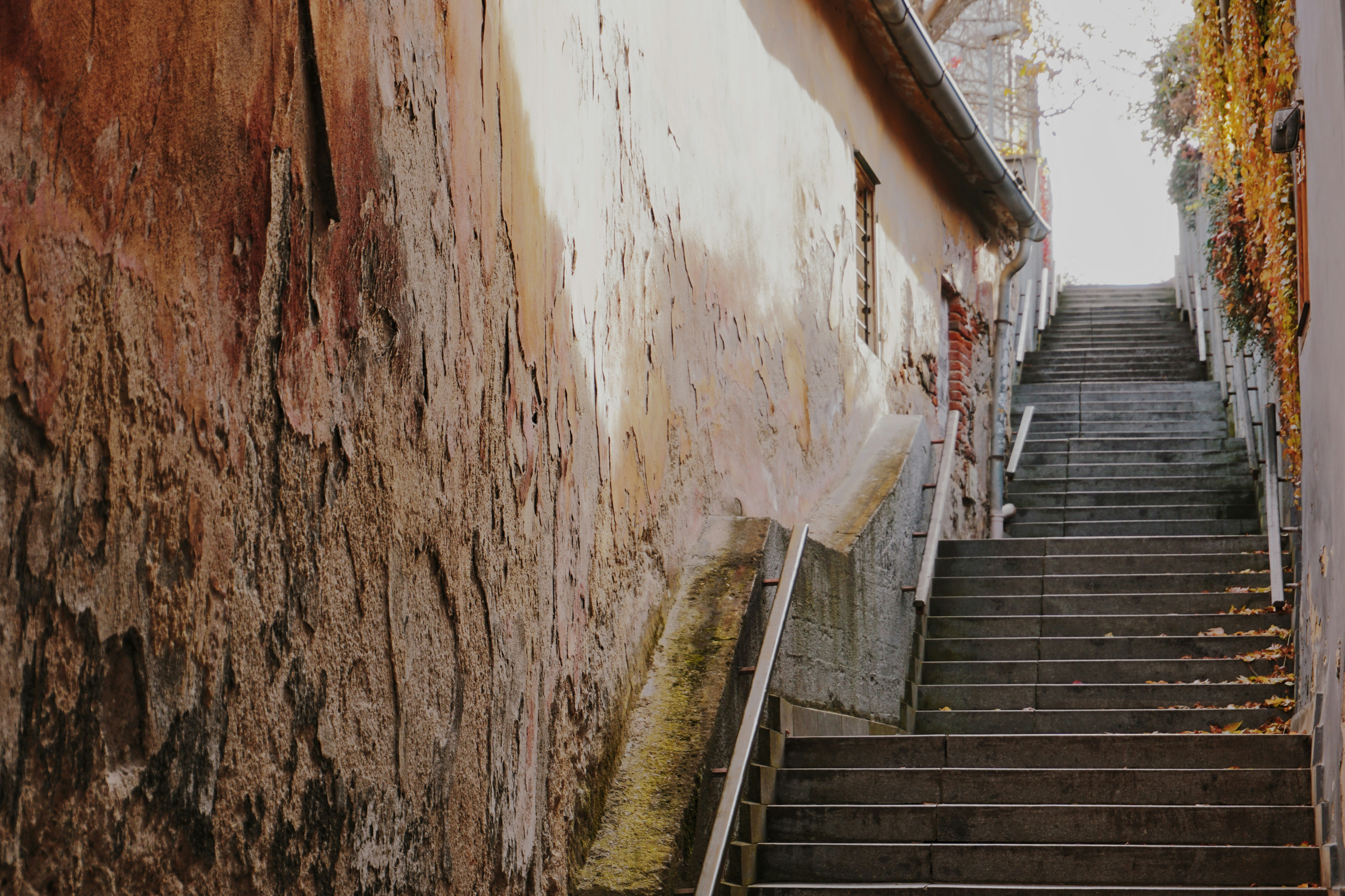 Photo by sawyerspecter