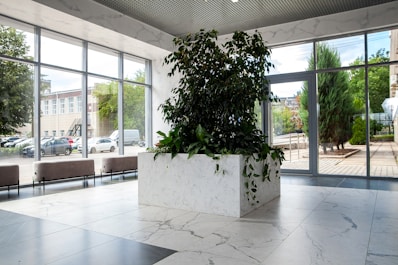 a planter in a room with glass walls and a large window