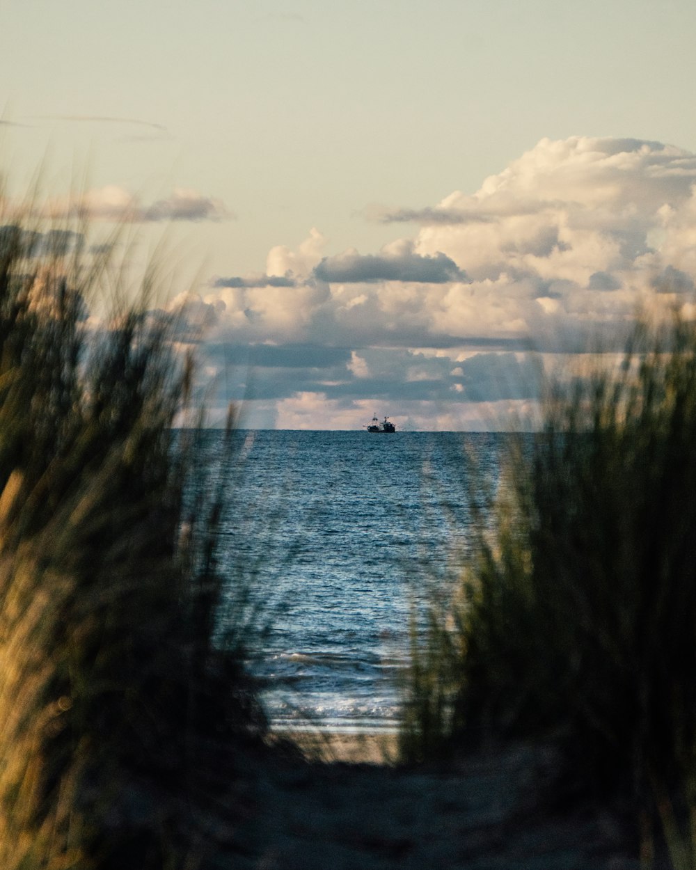 a boat on the water