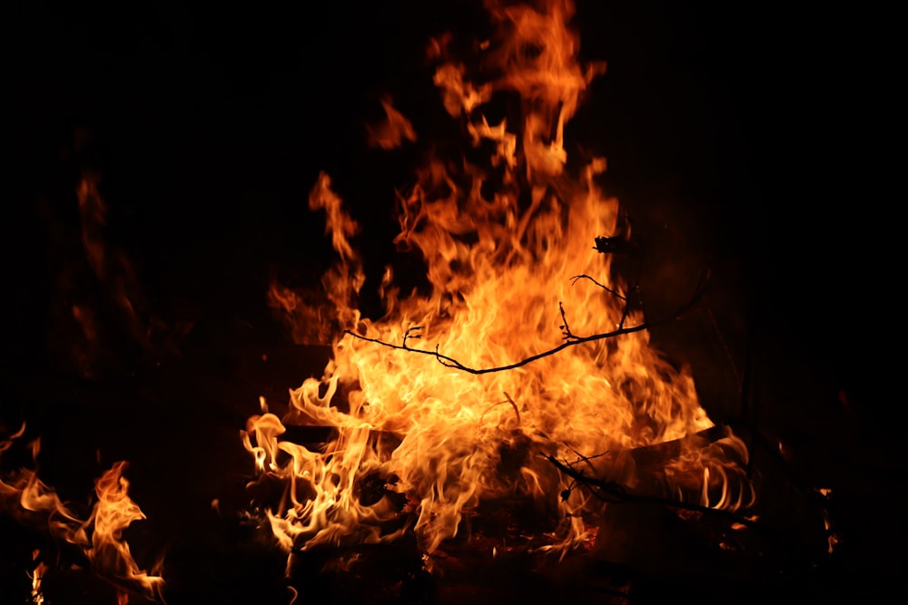 a close-up of a fire with Bonfires of Saint John in the background