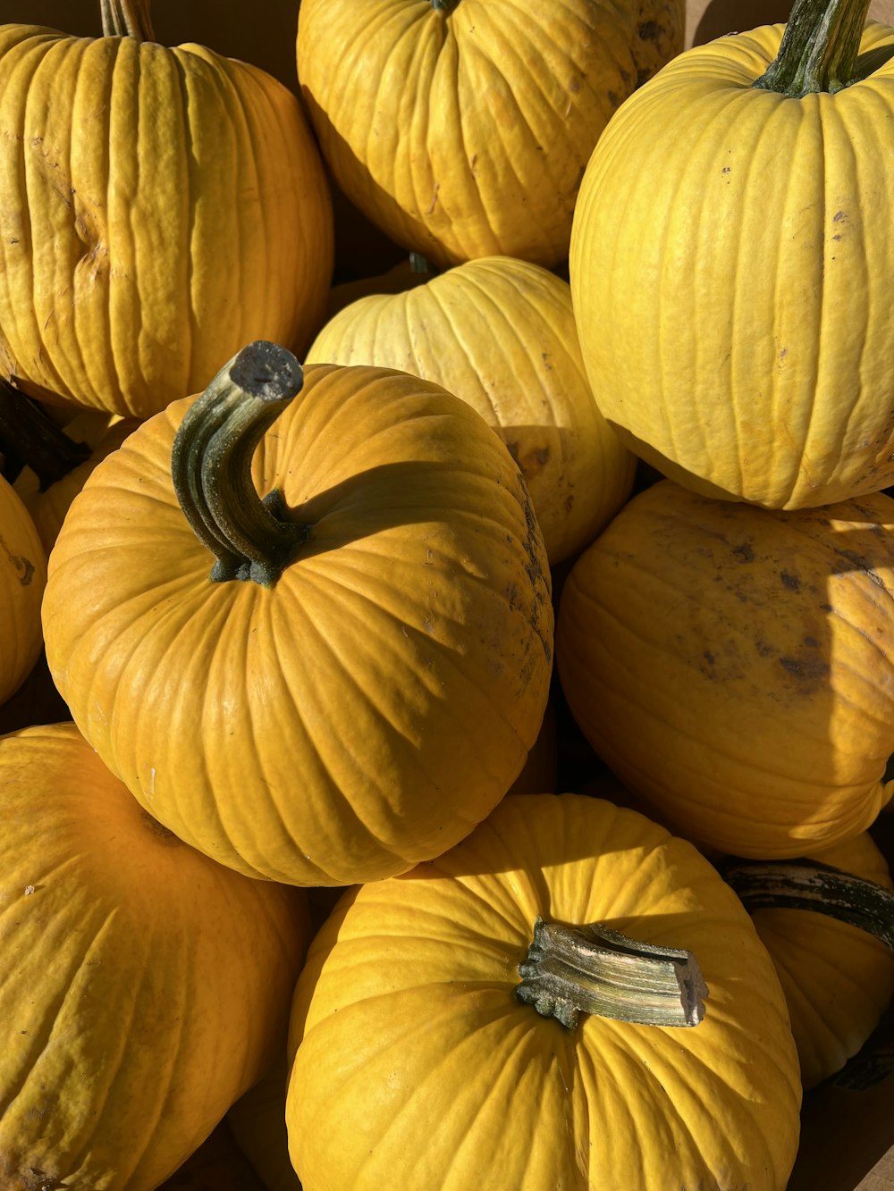 a group of pumpkins