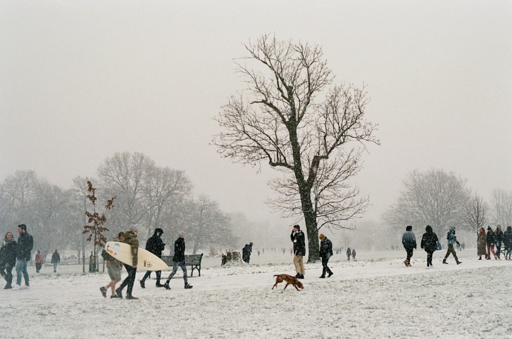 a group of people are walking in the snow with their surfboards