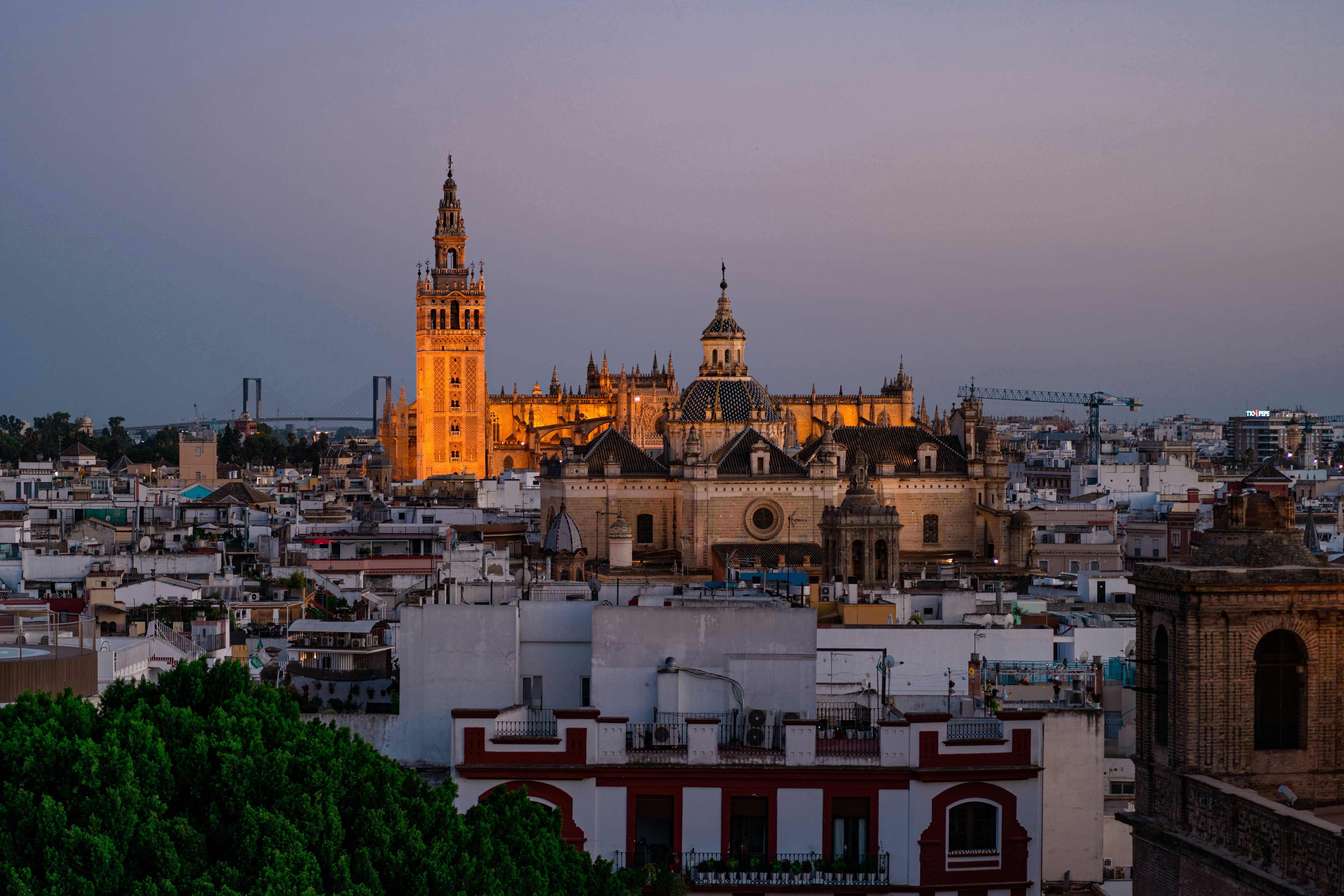 Photo by fabiannavarro