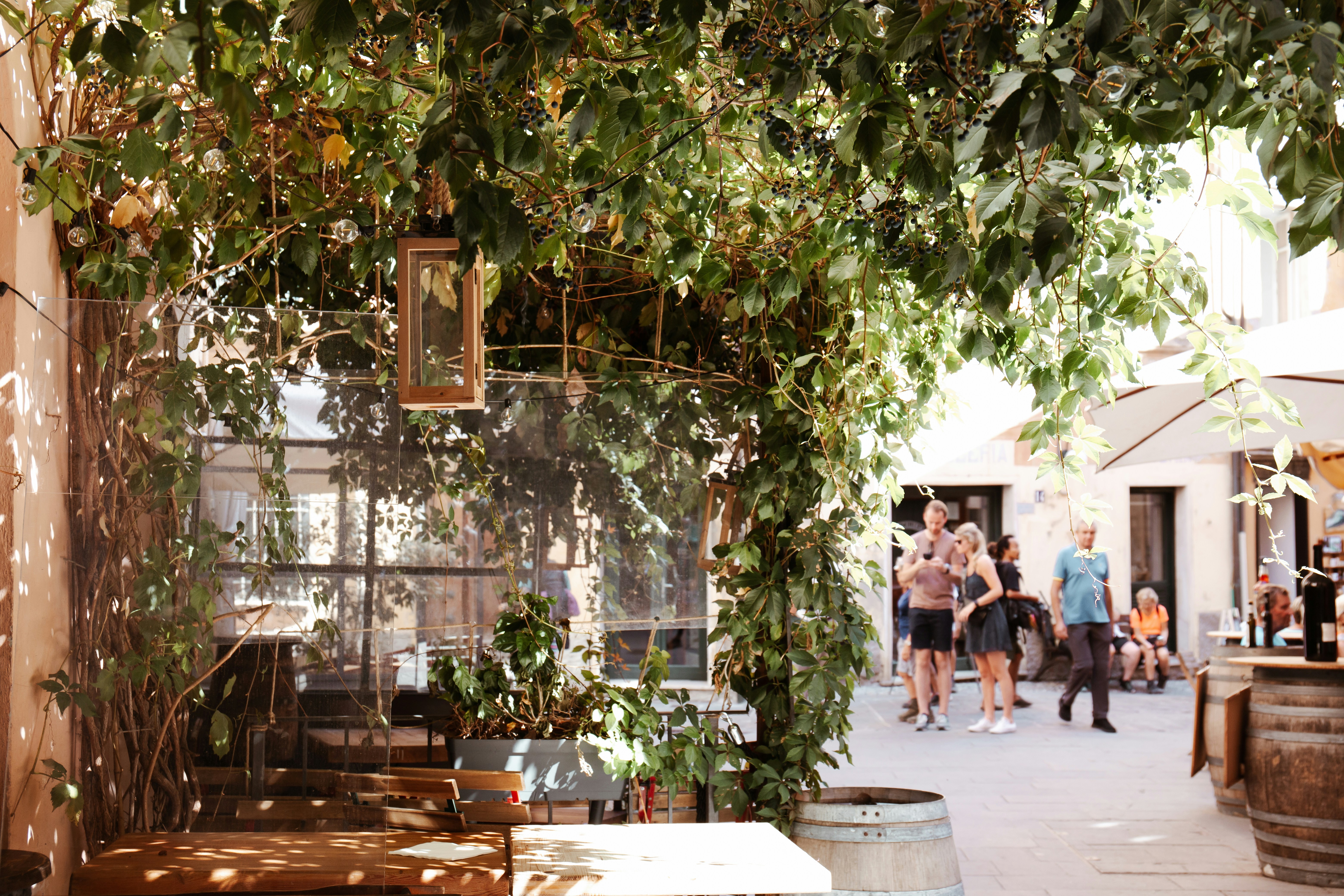 Photo by tadejapavsic