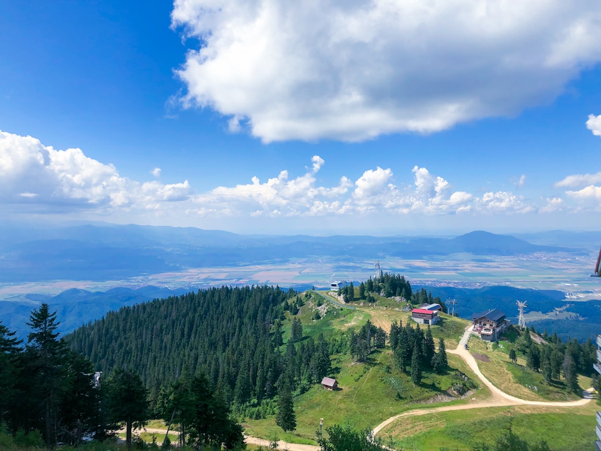 a landscape with trees and a body of water in the background