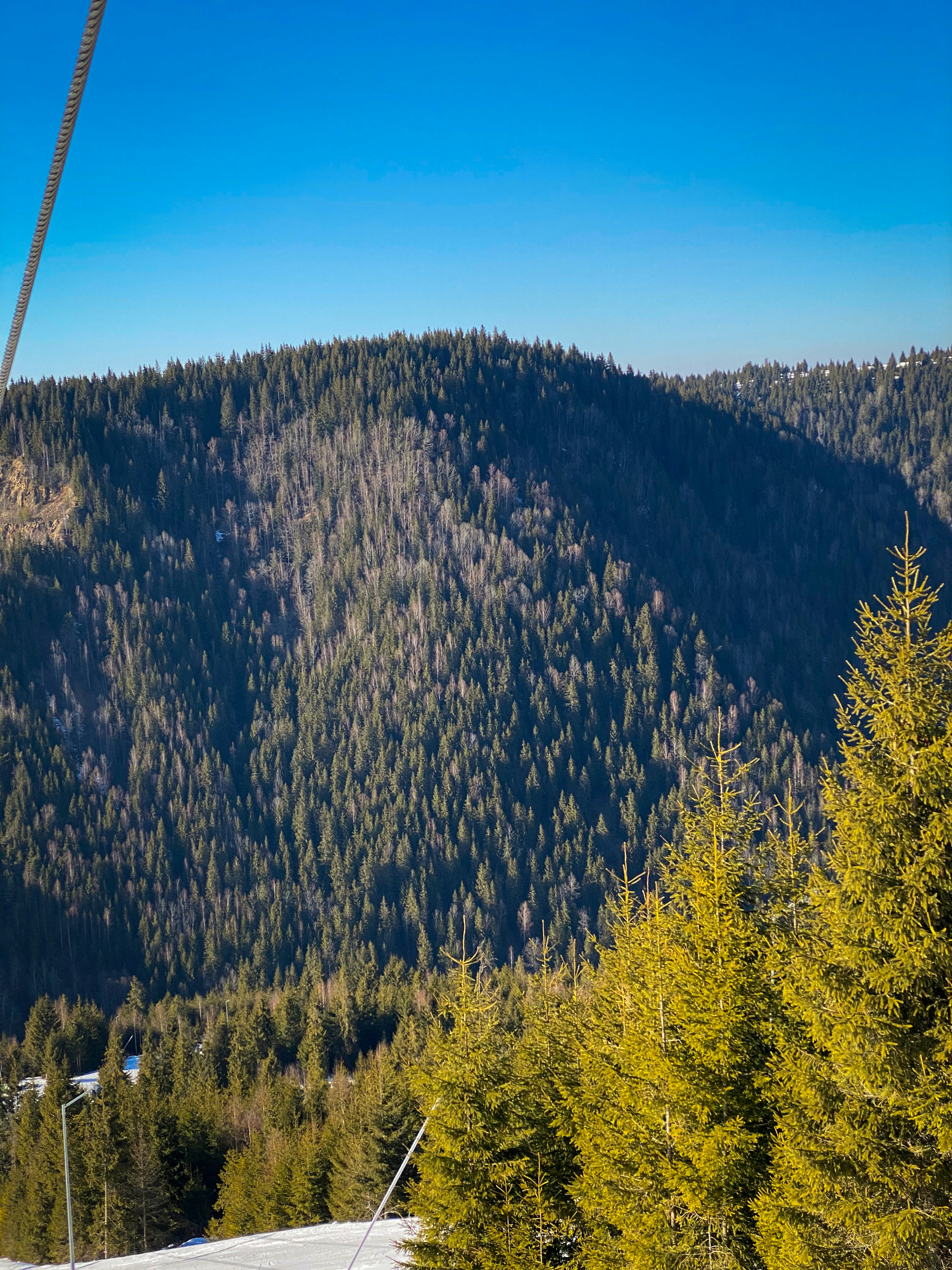 a mountain with trees and a road