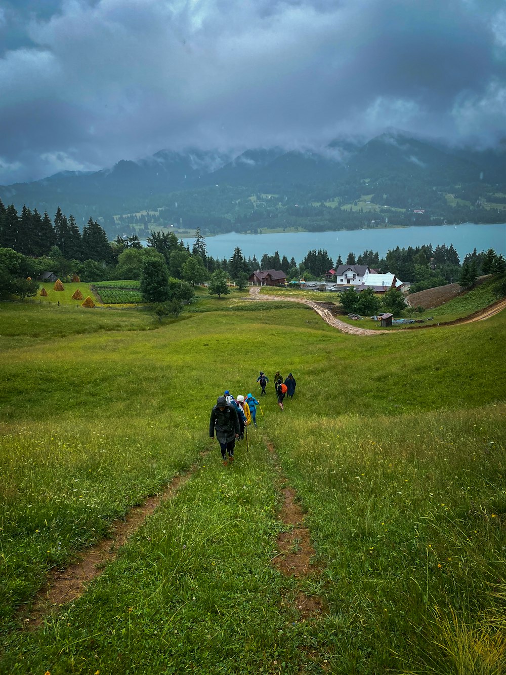 a group of people hiking on a trail in a grassy field
