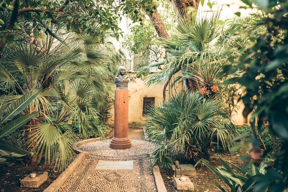 a fire hydrant in a garden