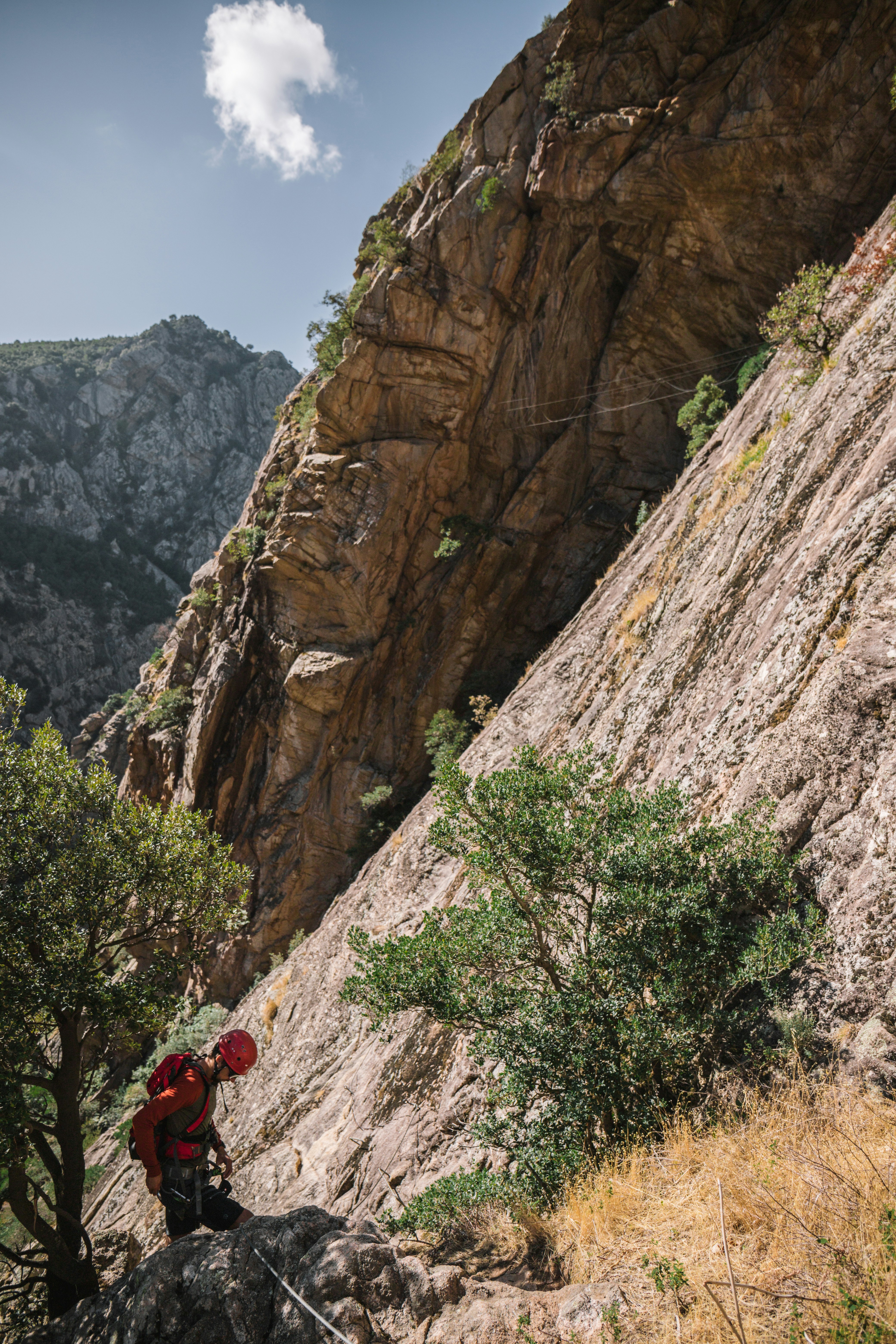 Photo by tadejapavsic