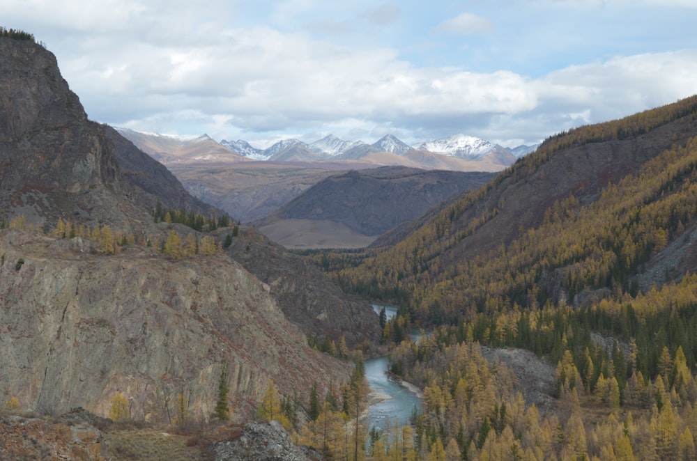 a river running through a valley