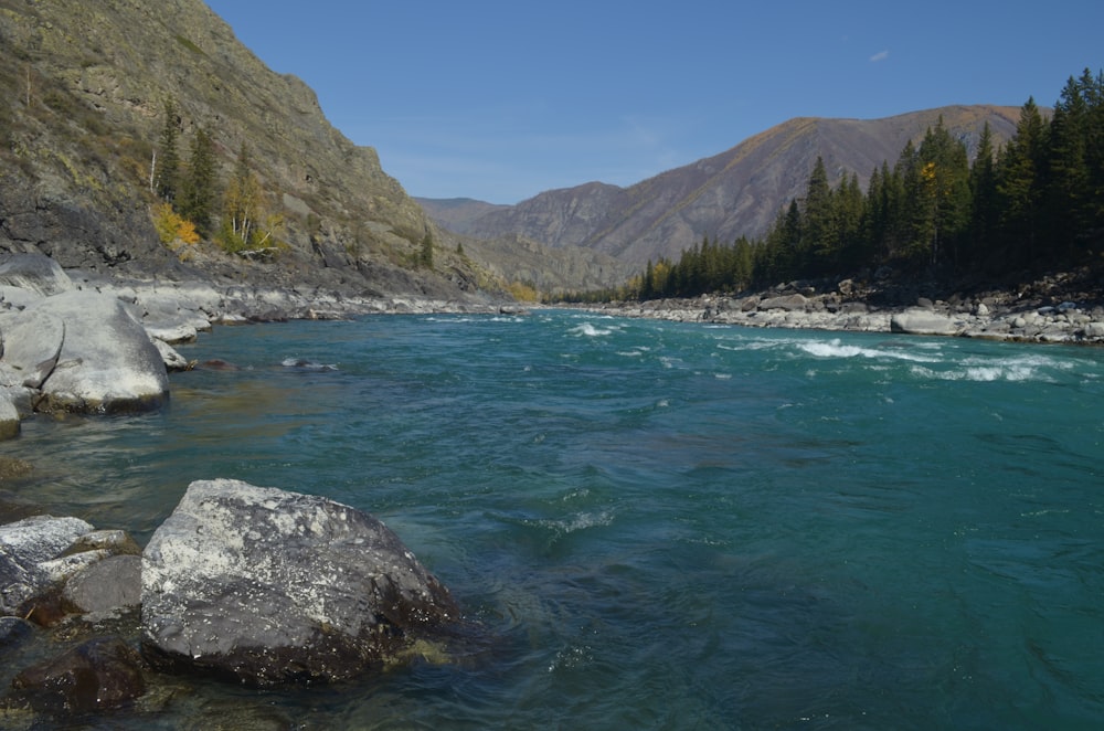 a body of water with rocks and trees around it