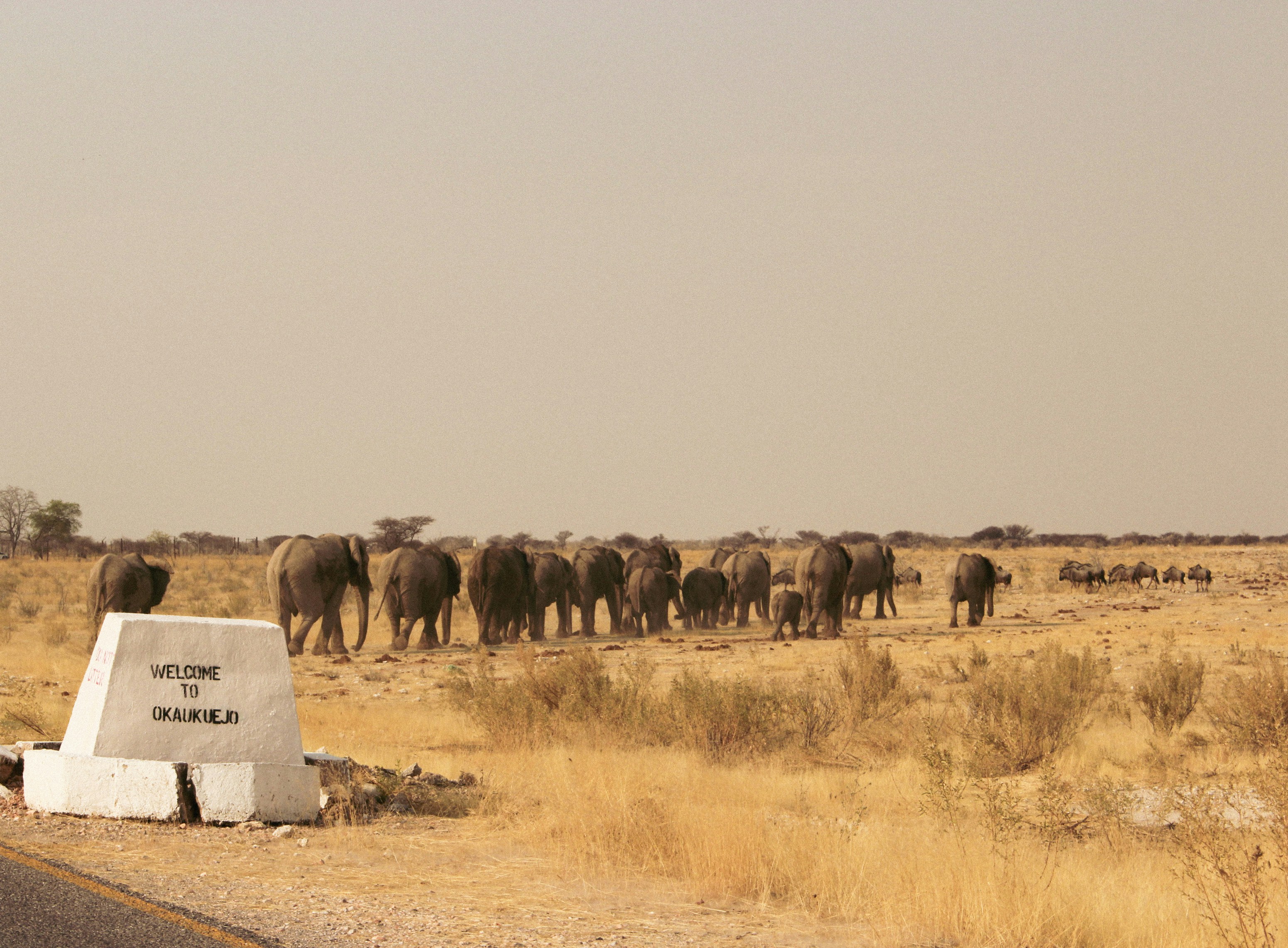 Namibia, Etosha