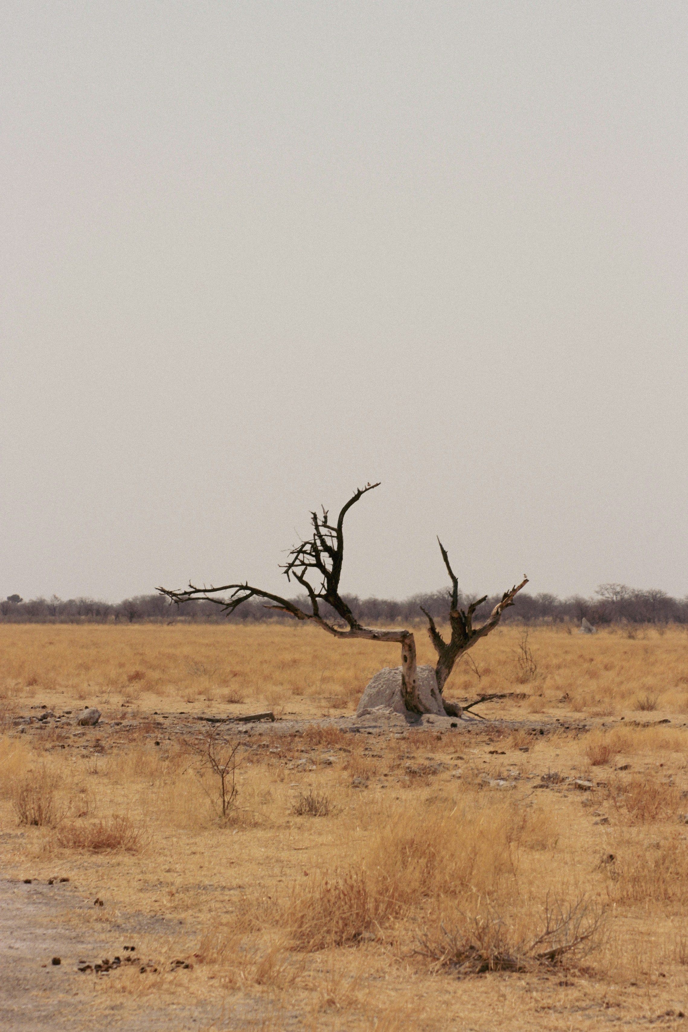 Khorixas travel photo