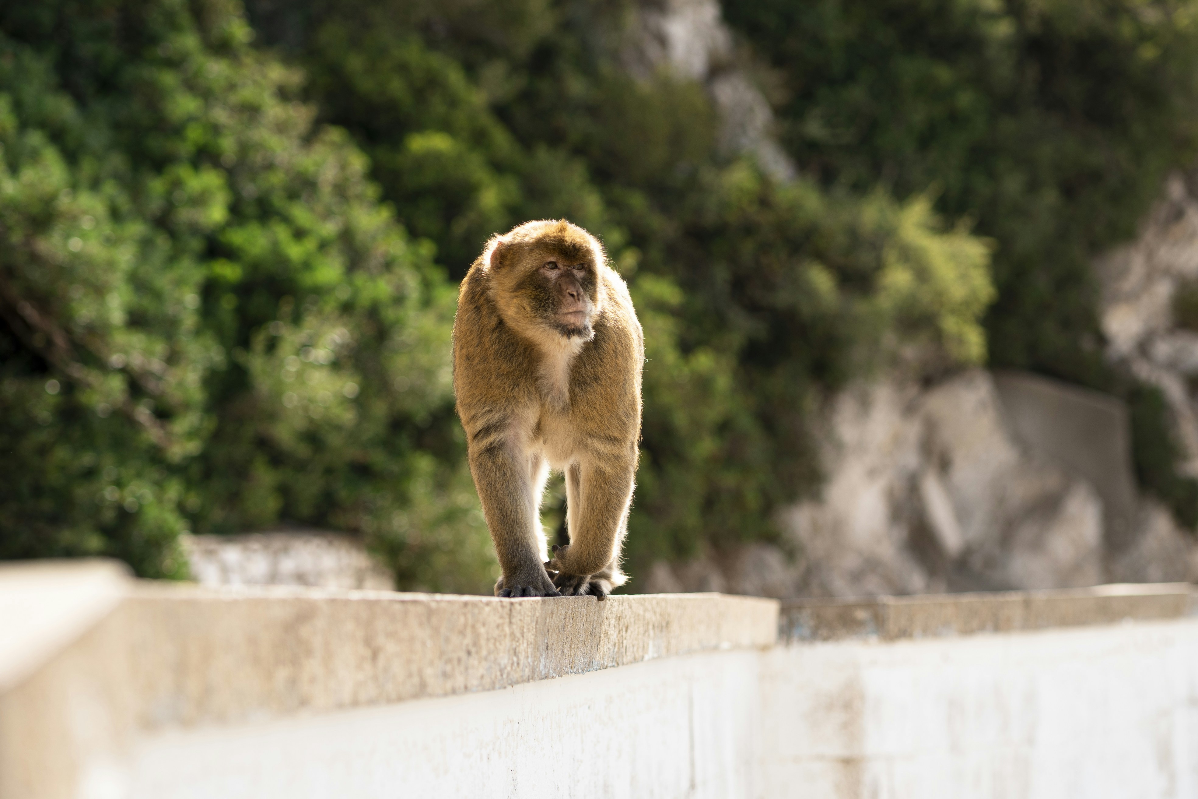 Photo by fabiannavarro