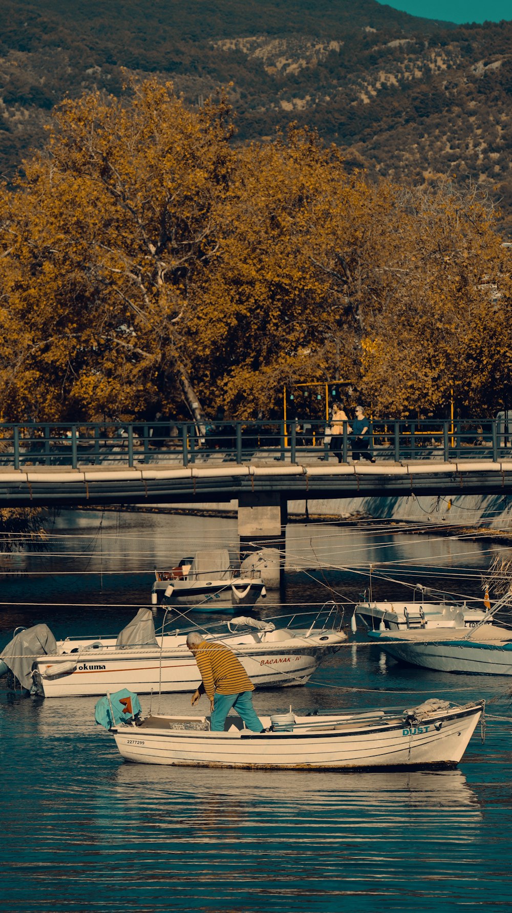 a person on a boat in a lake