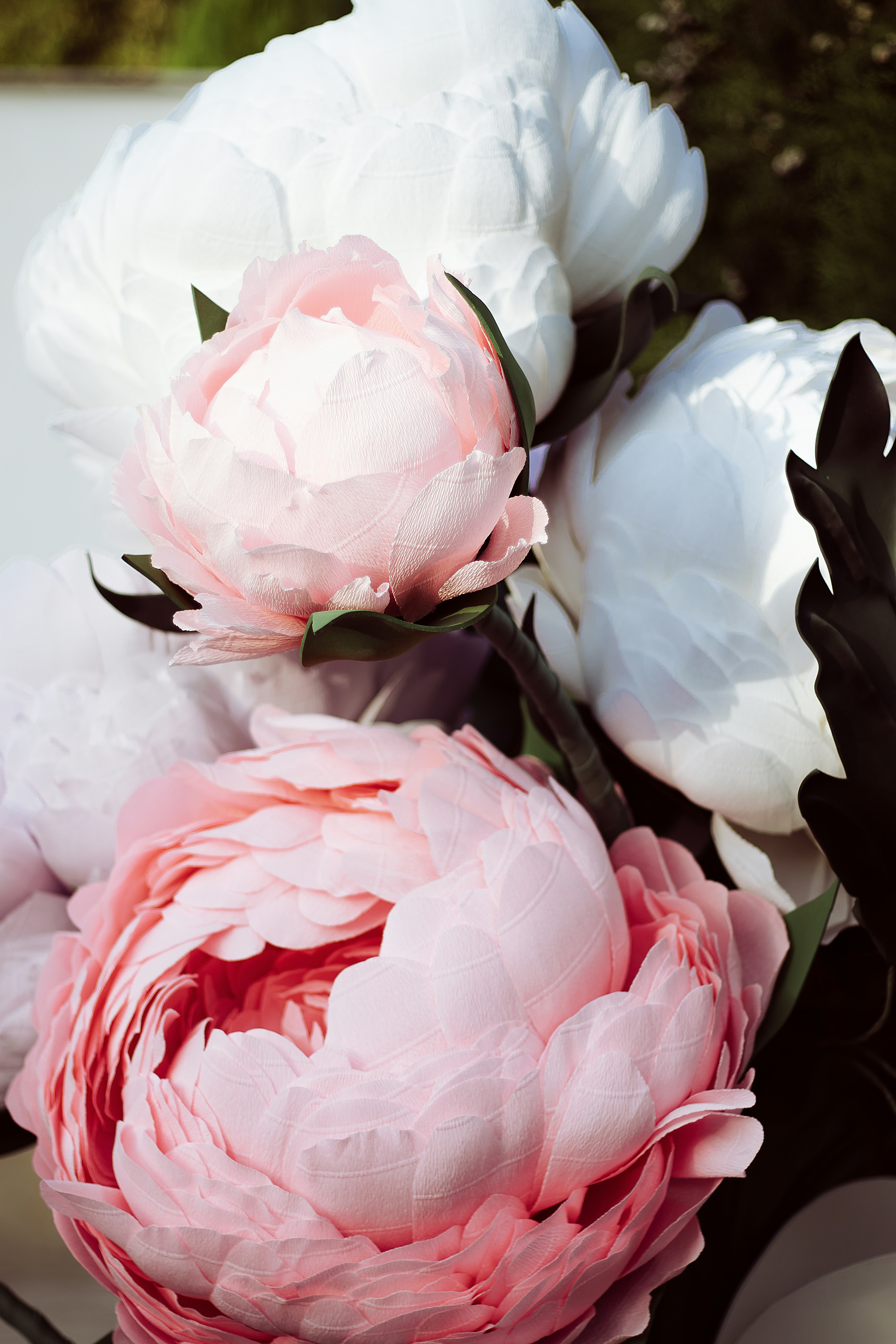 Photo by mahdibafande