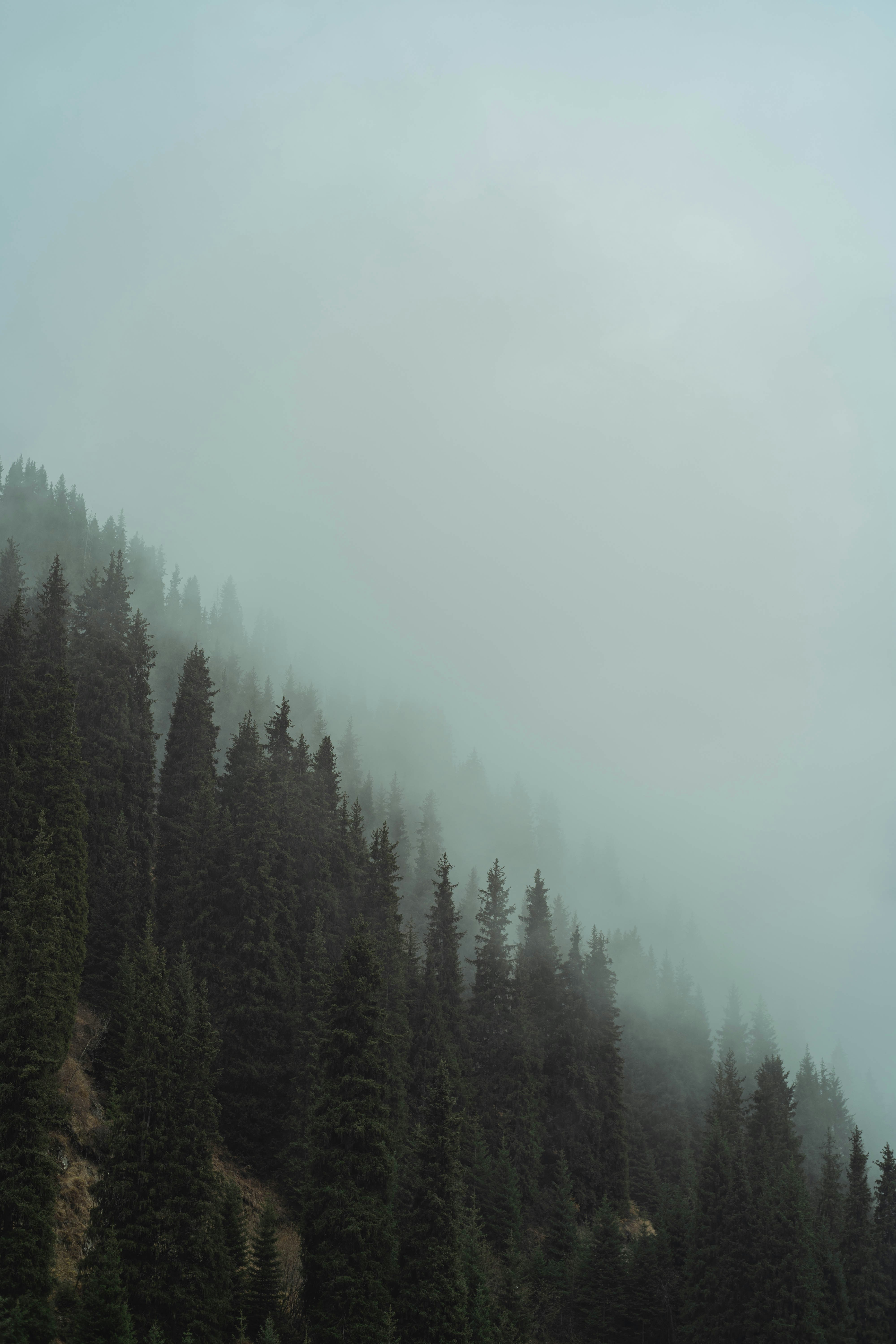 Photo by carpediem_ann