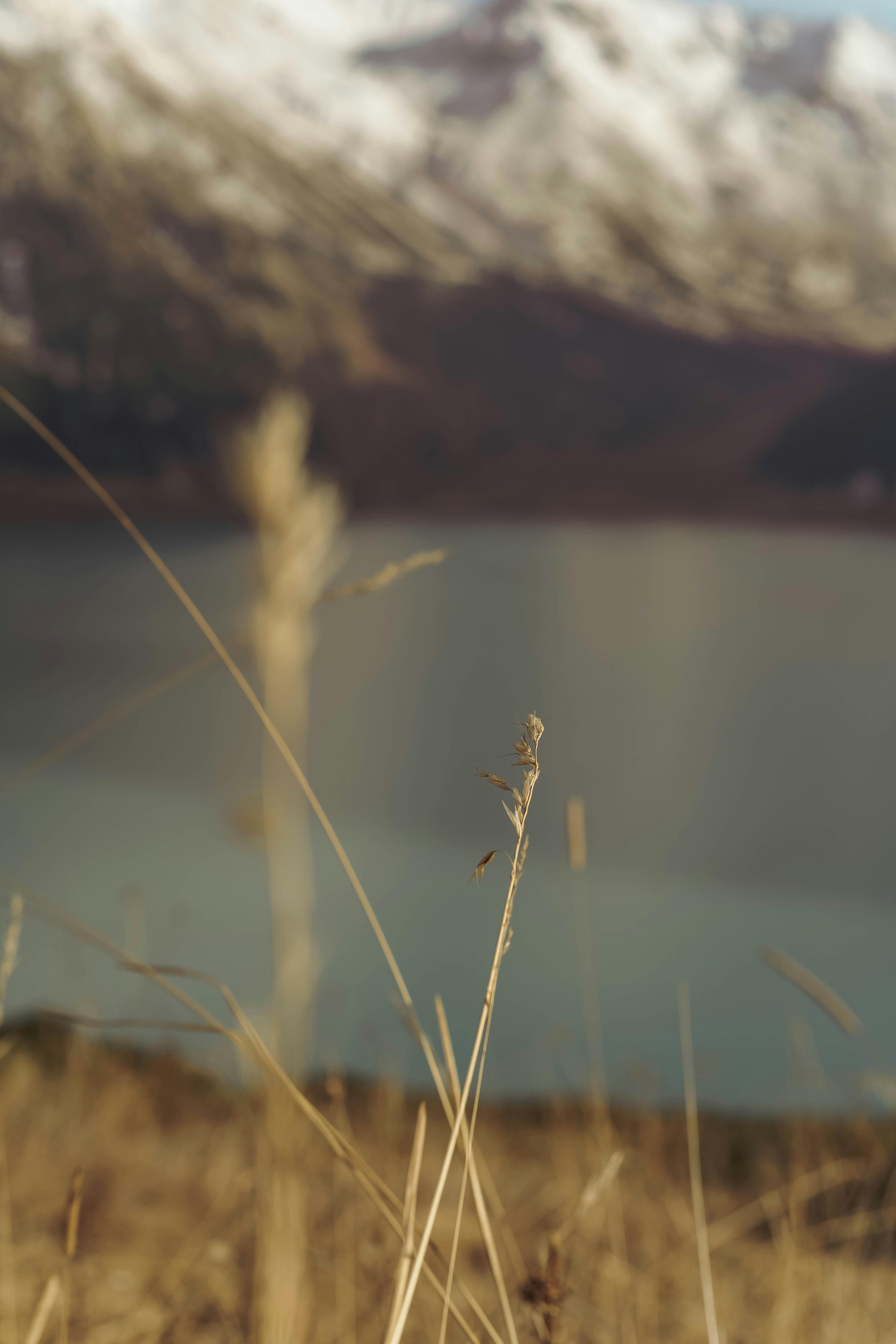 Photo by carpediem_ann