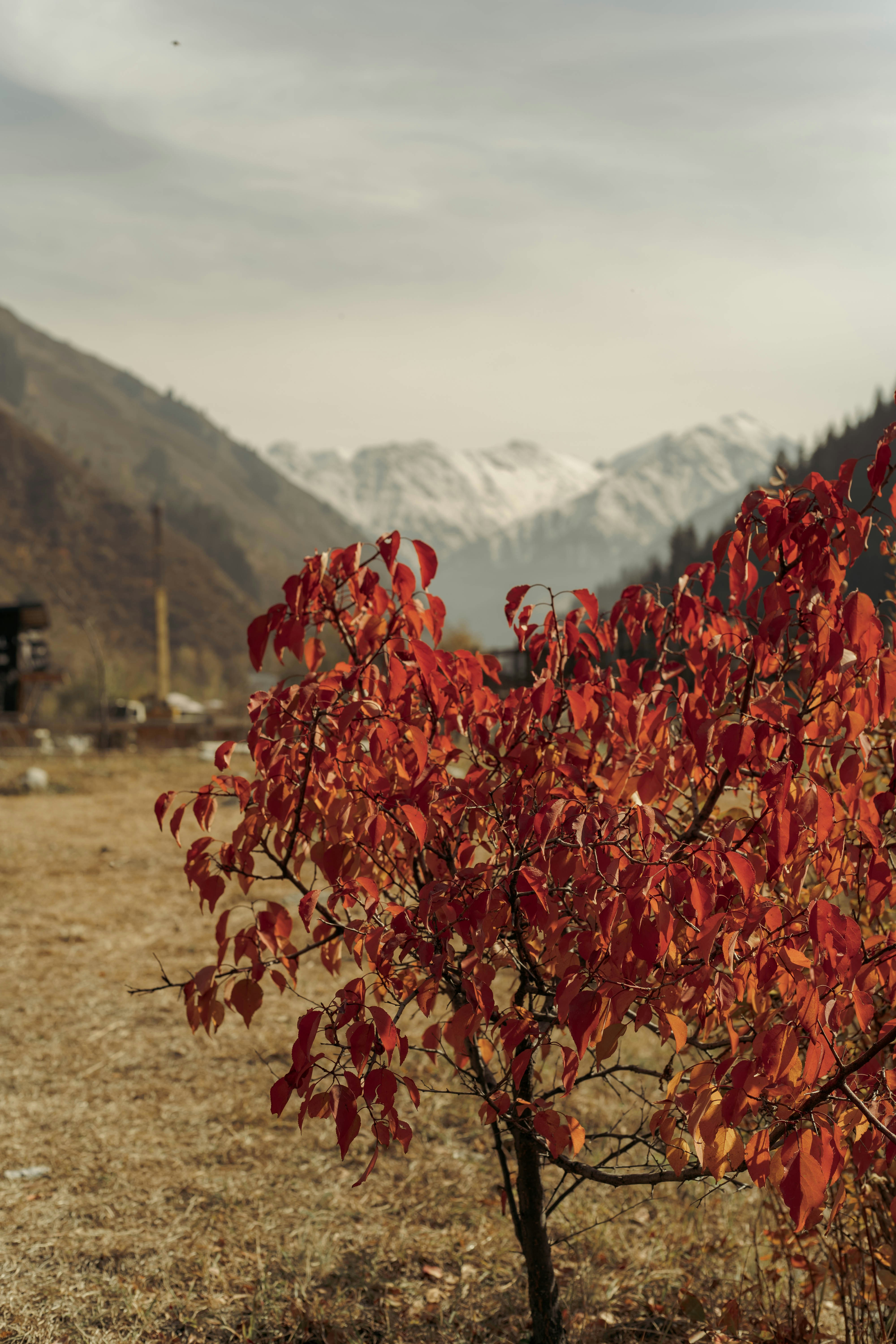 Prodigious Image. Pictures | Download Free Images on Unsplash