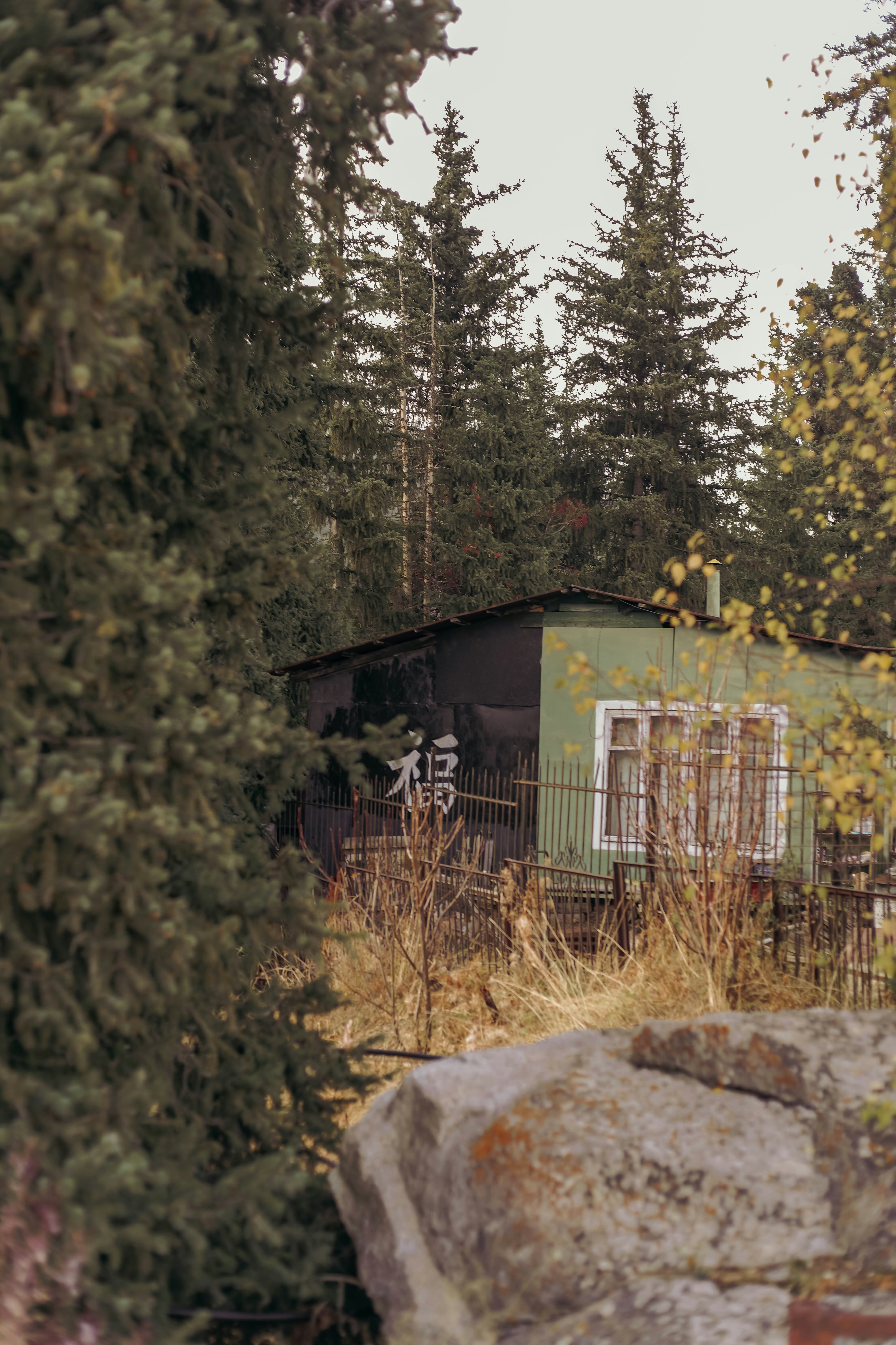 Photo by carpediem_ann