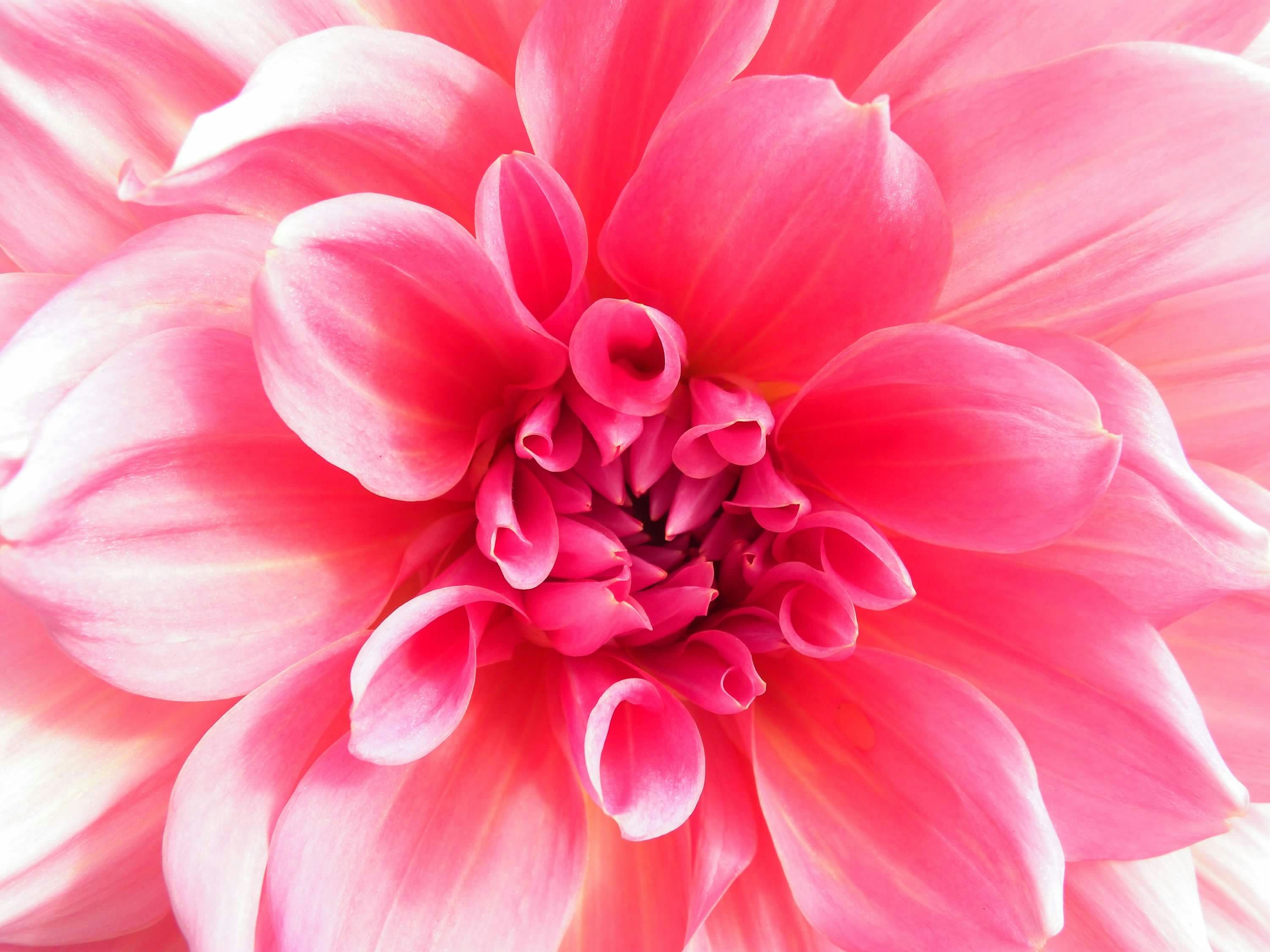 Photo by rbh_designs