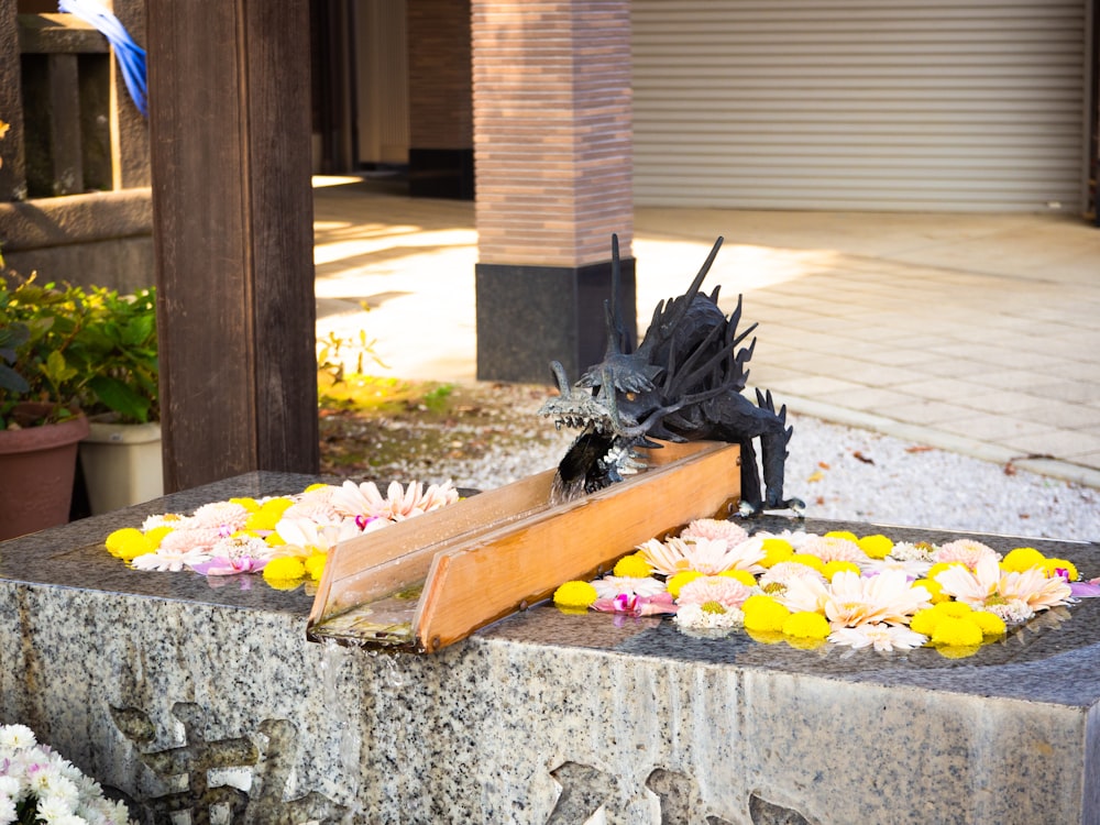 a black and brown bird on a stone ledge with flowers