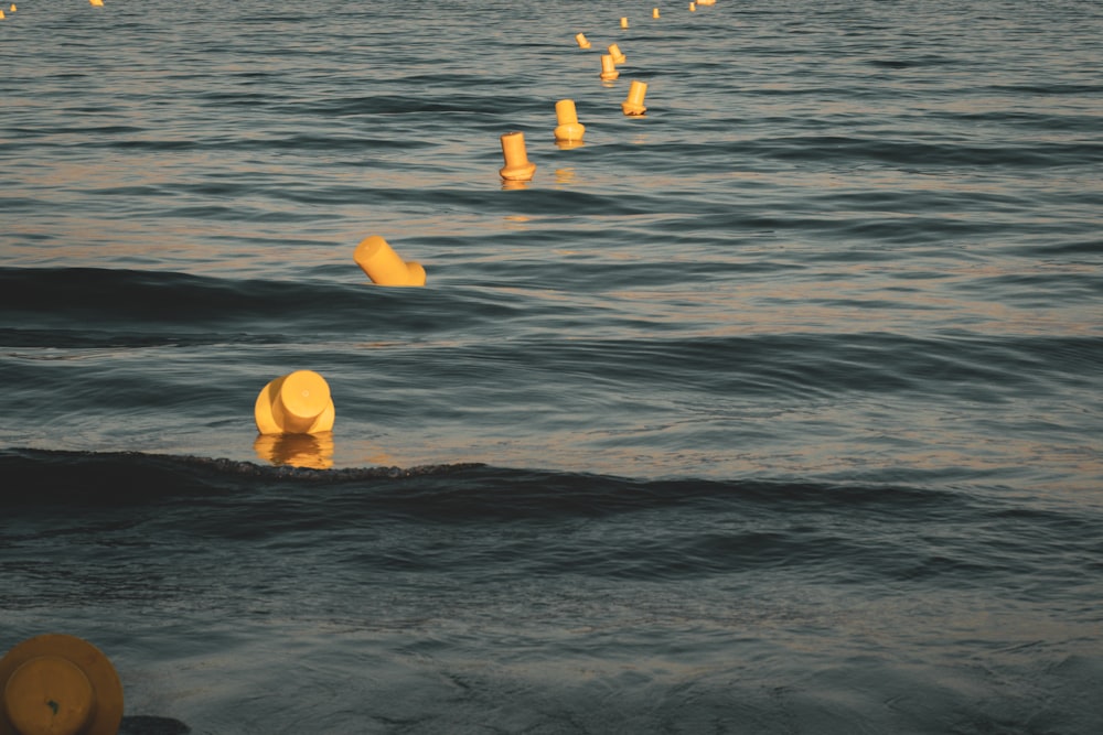 a group of buoys floating in the water
